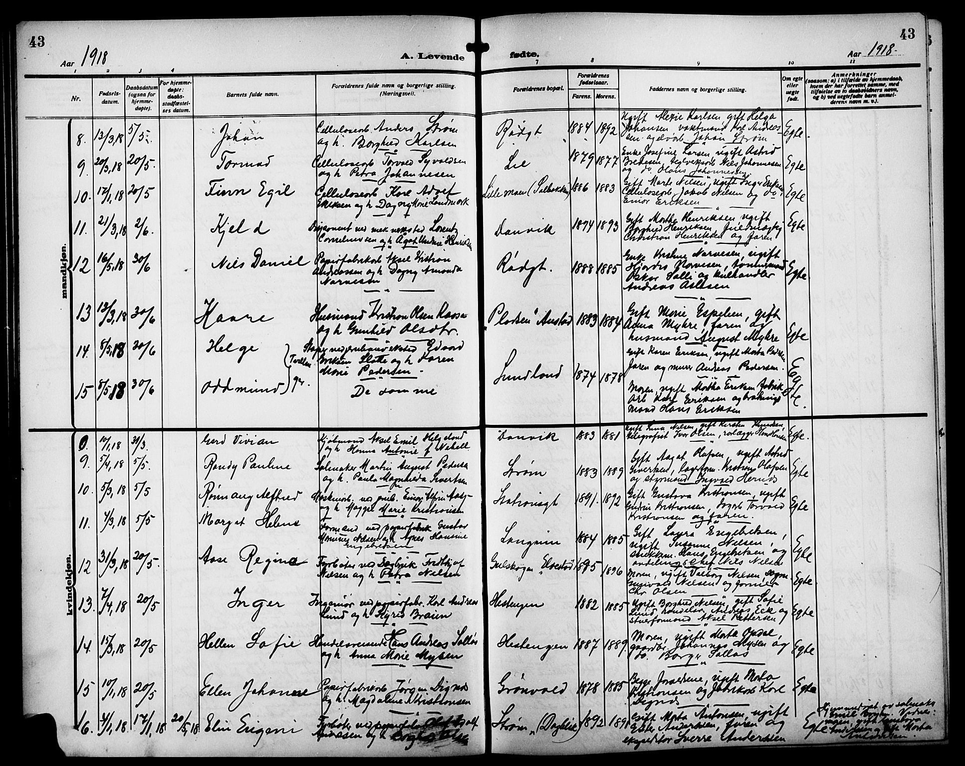 Strømsgodset kirkebøker, AV/SAKO-A-324/G/Ga/L0003: Parish register (copy) no. 3, 1911-1926, p. 43