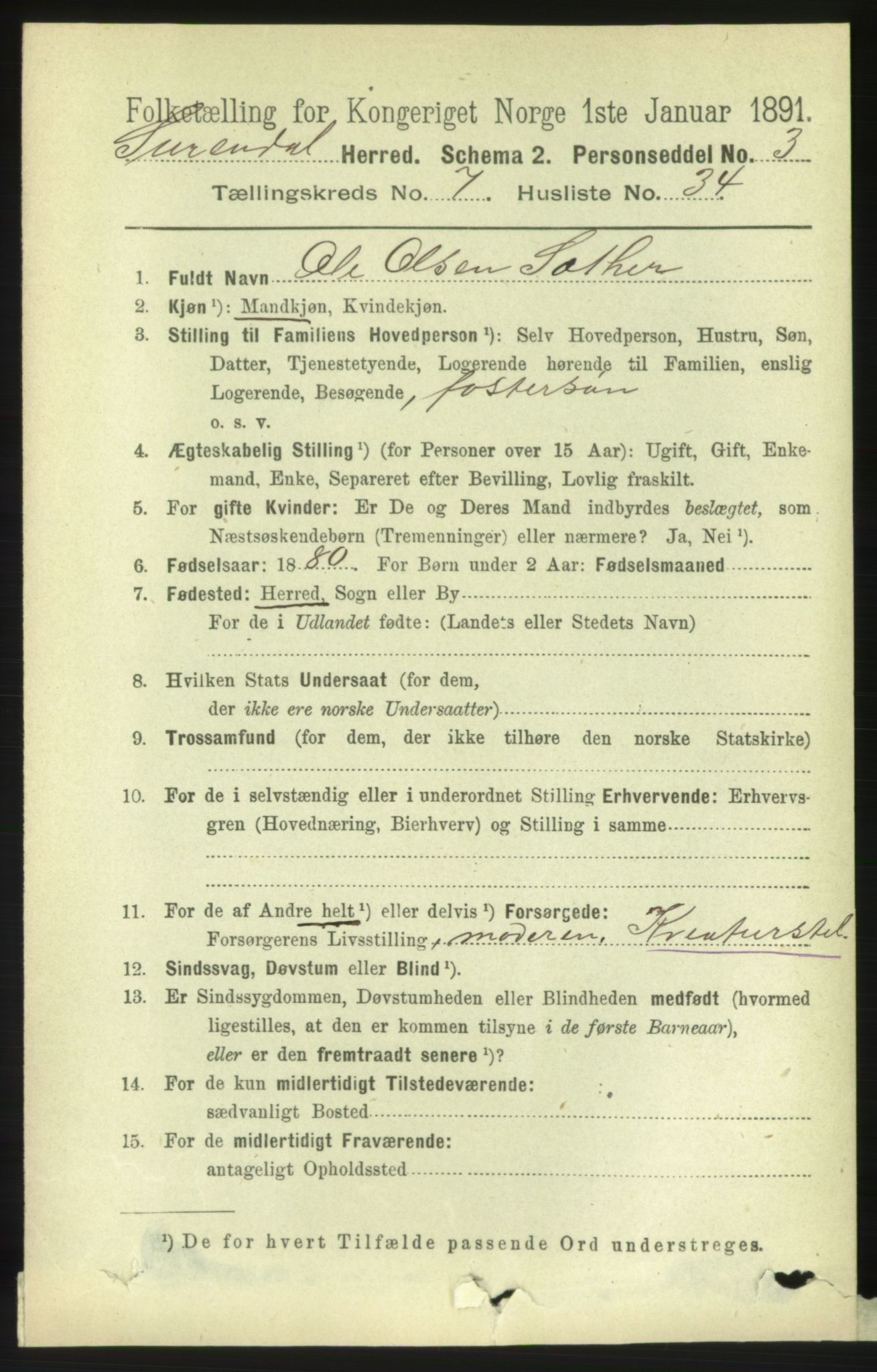 RA, 1891 census for 1566 Surnadal, 1891, p. 2028