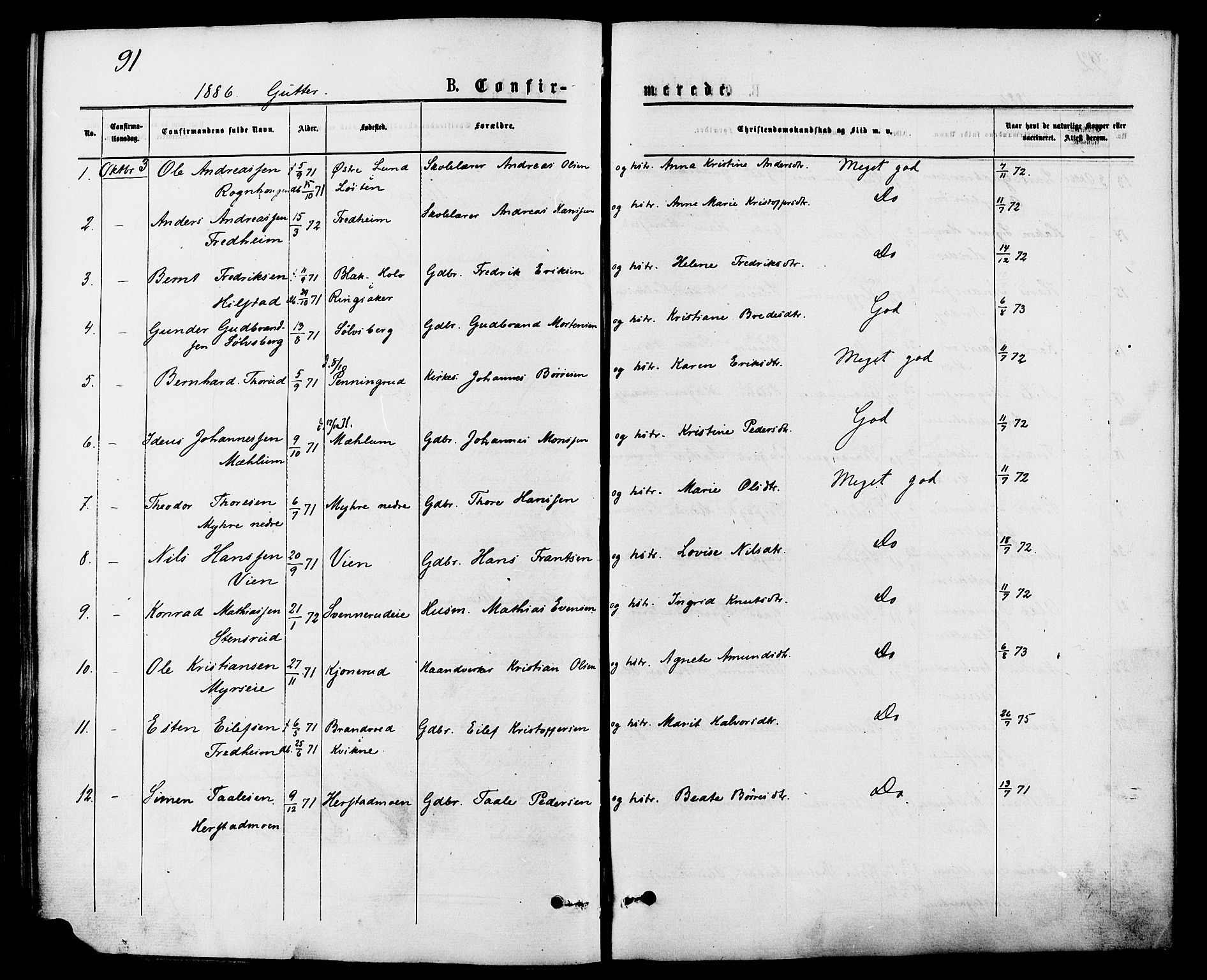 Nes prestekontor, Hedmark, AV/SAH-PREST-020/K/Ka/L0006: Parish register (official) no. 6, 1873-1886, p. 91