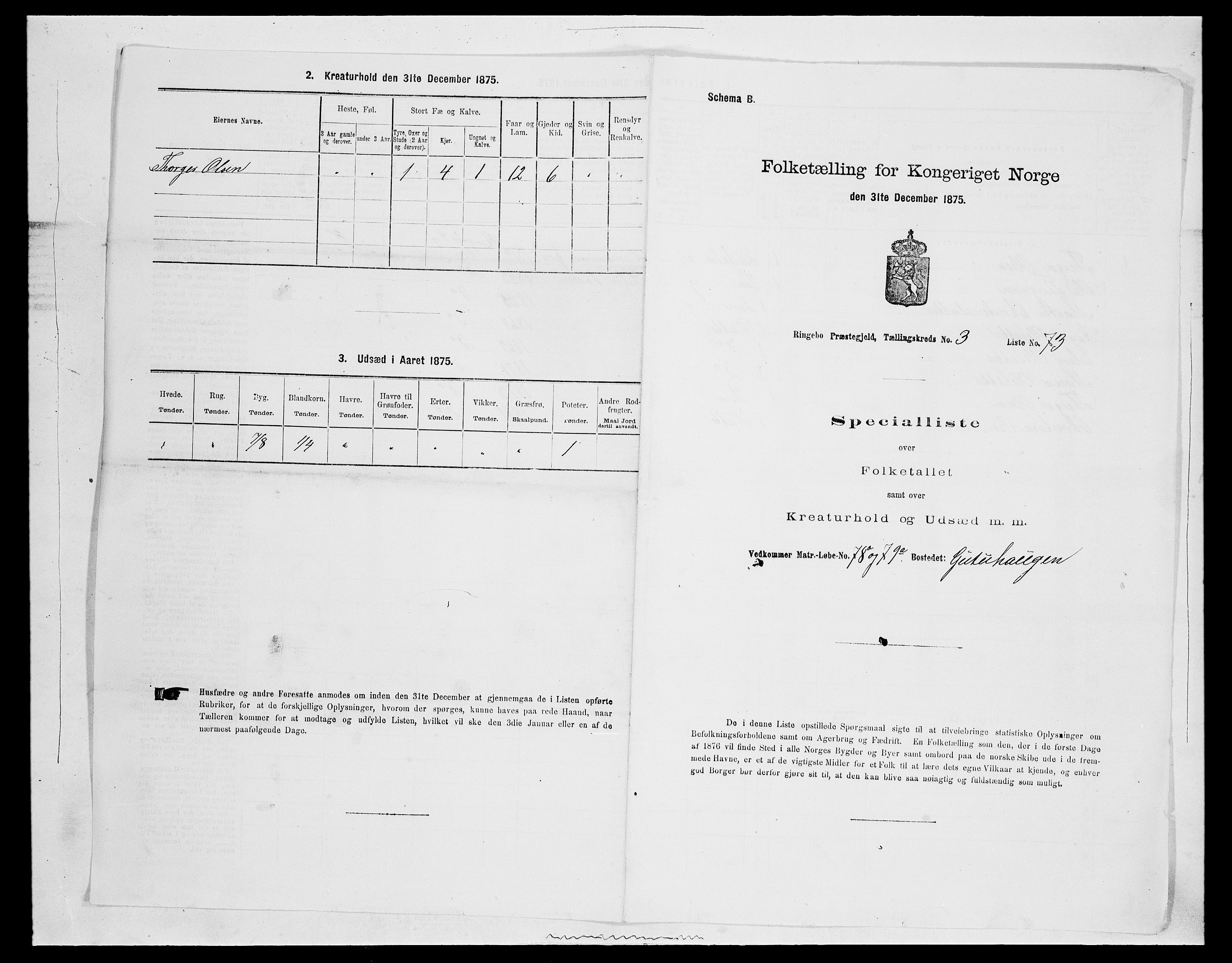 SAH, 1875 census for 0520P Ringebu, 1875, p. 536