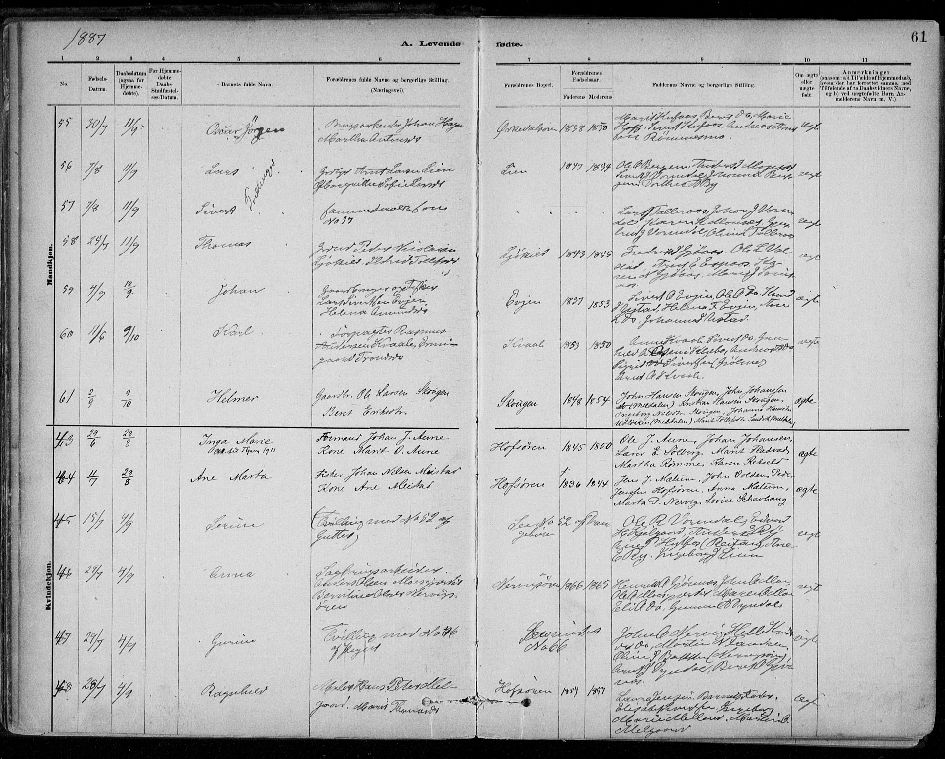 Ministerialprotokoller, klokkerbøker og fødselsregistre - Sør-Trøndelag, AV/SAT-A-1456/668/L0809: Parish register (official) no. 668A09, 1881-1895, p. 61