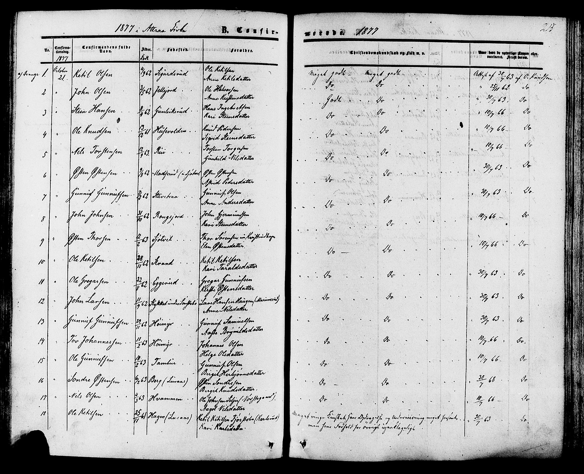 Tinn kirkebøker, SAKO/A-308/F/Fa/L0006: Parish register (official) no. I 6, 1857-1878, p. 215