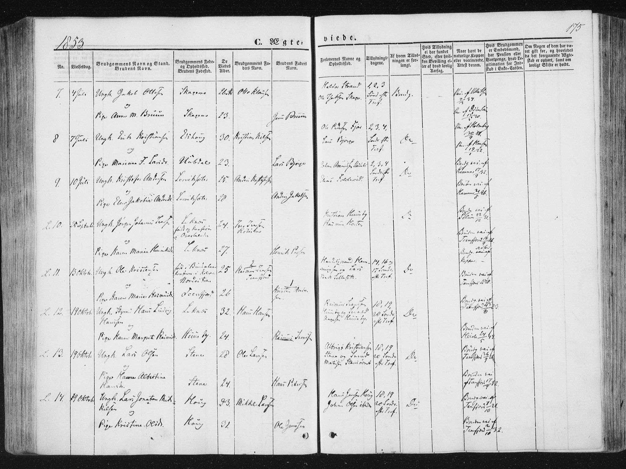 Ministerialprotokoller, klokkerbøker og fødselsregistre - Nord-Trøndelag, AV/SAT-A-1458/780/L0640: Parish register (official) no. 780A05, 1845-1856, p. 175