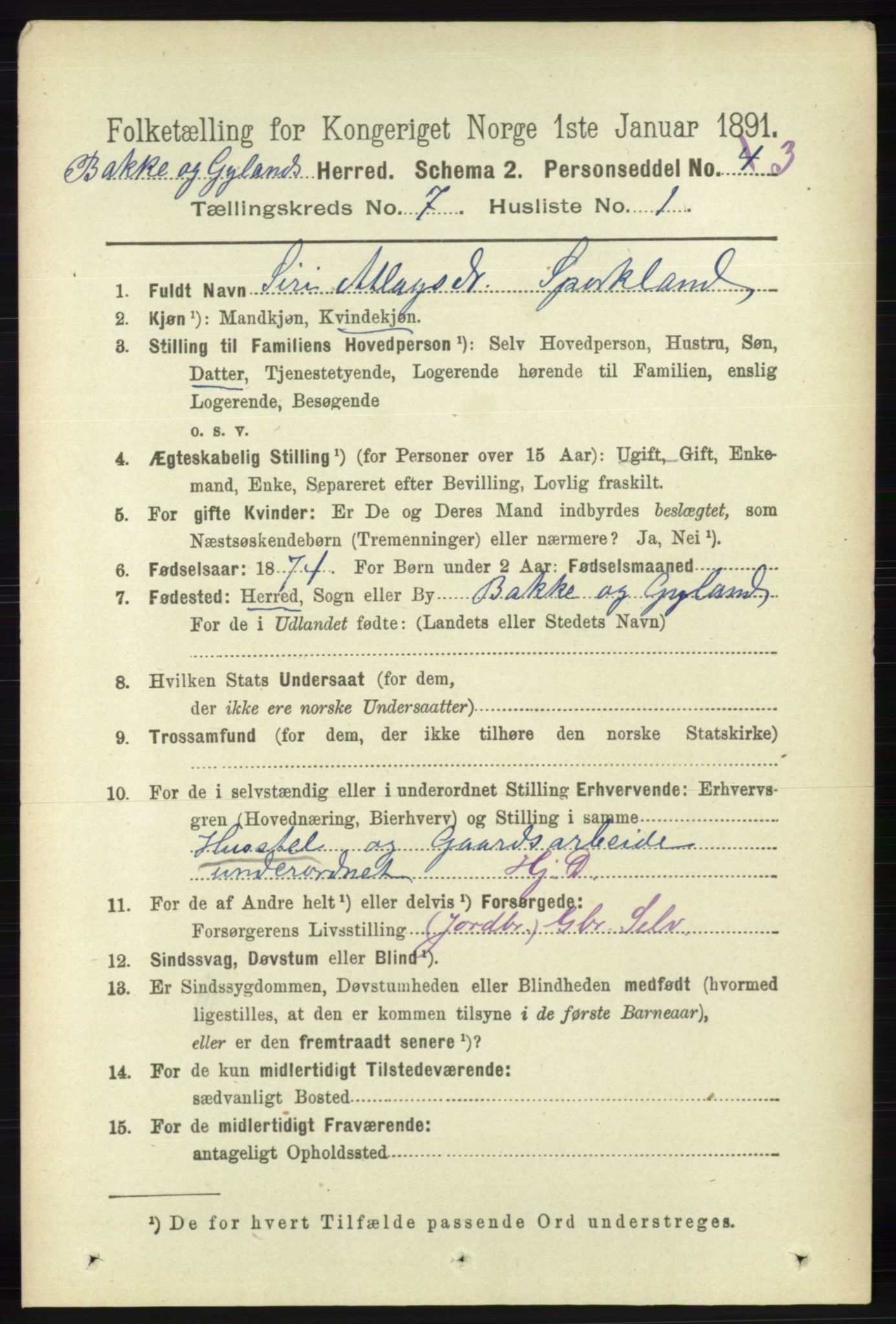 RA, 1891 census for 1045 Bakke, 1891, p. 1307