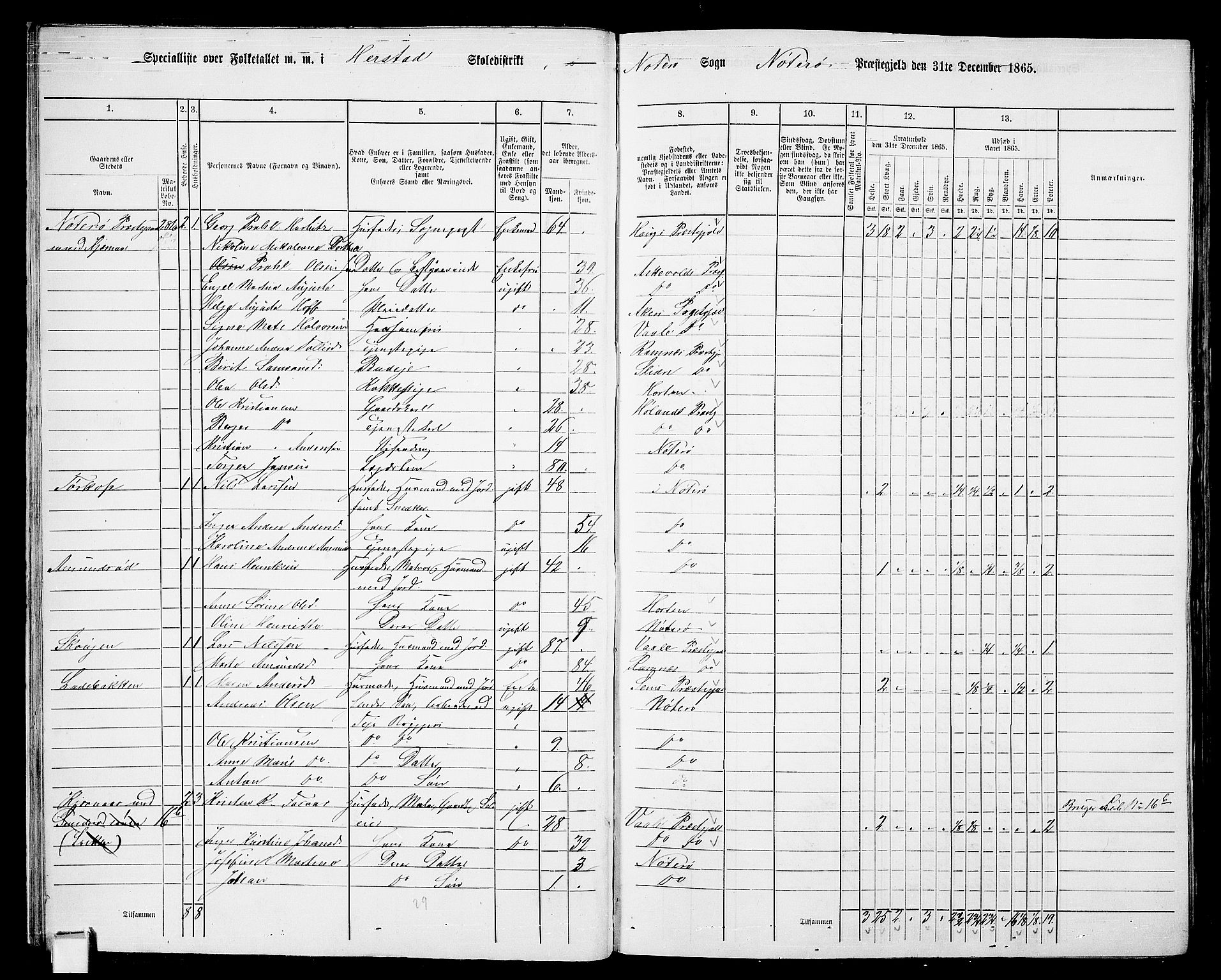 RA, 1865 census for Nøtterøy, 1865, p. 27