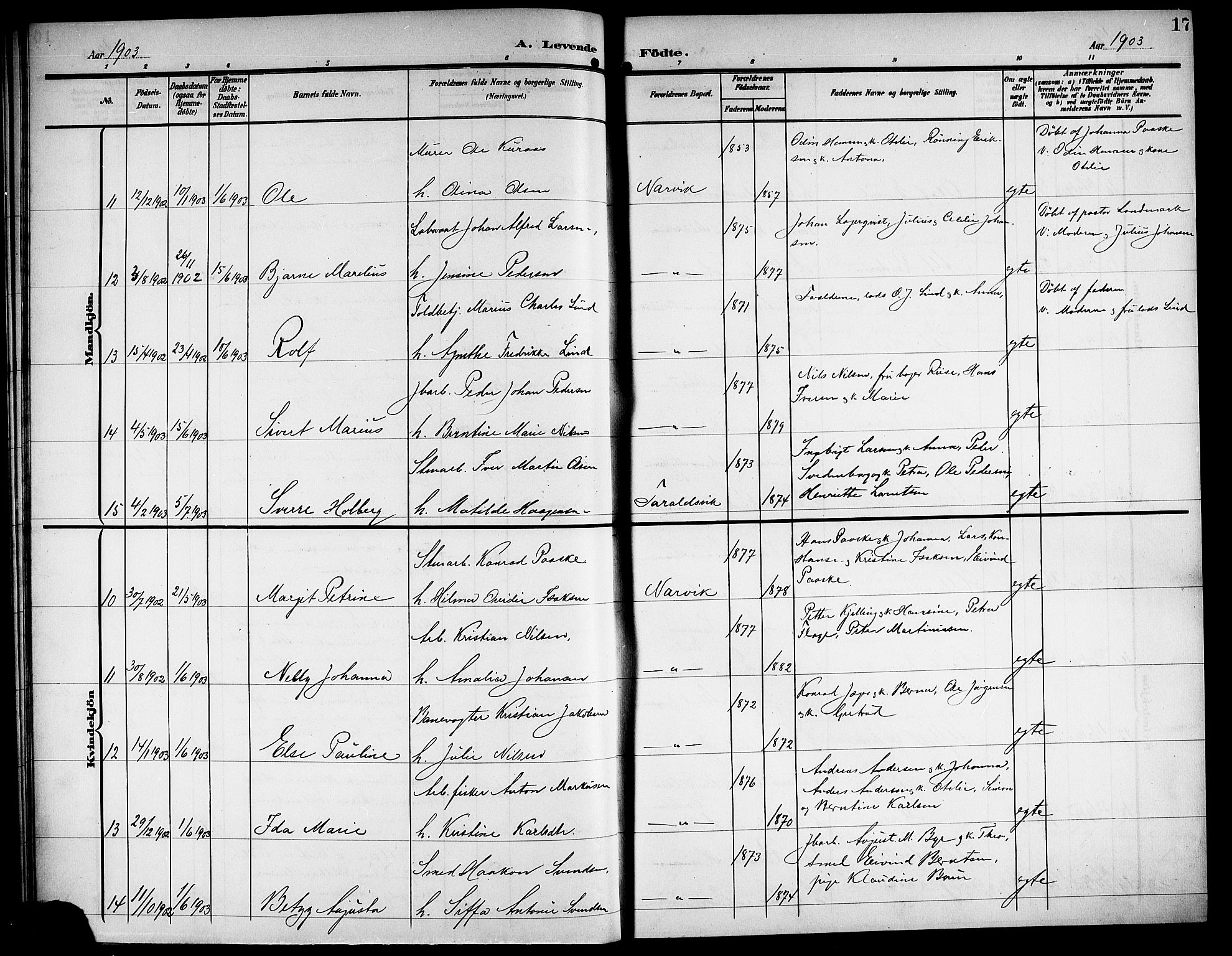 Ministerialprotokoller, klokkerbøker og fødselsregistre - Nordland, AV/SAT-A-1459/871/L1012: Parish register (copy) no. 871C01, 1902-1909, p. 17