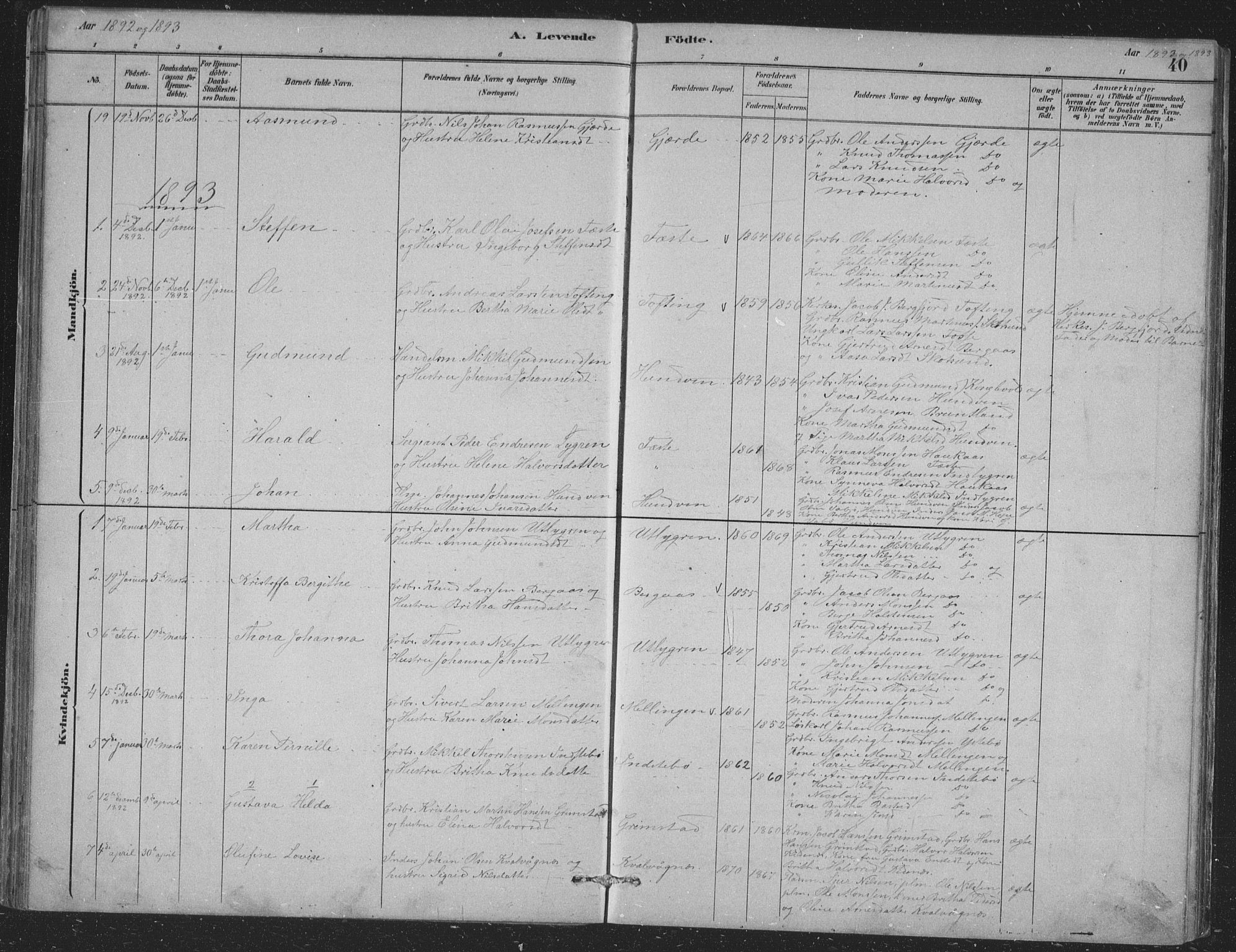 Alversund Sokneprestembete, SAB/A-73901/H/Ha/Hab: Parish register (copy) no. B 3, 1881-1896, p. 40