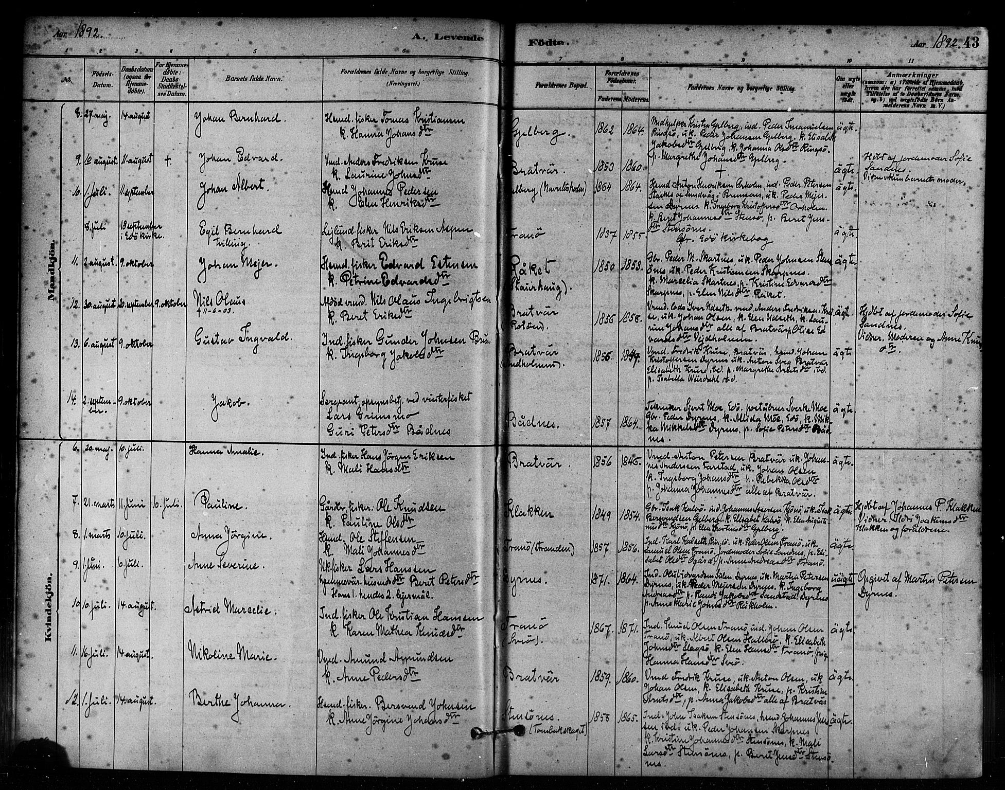 Ministerialprotokoller, klokkerbøker og fødselsregistre - Møre og Romsdal, AV/SAT-A-1454/582/L0947: Parish register (official) no. 582A01, 1880-1900, p. 43