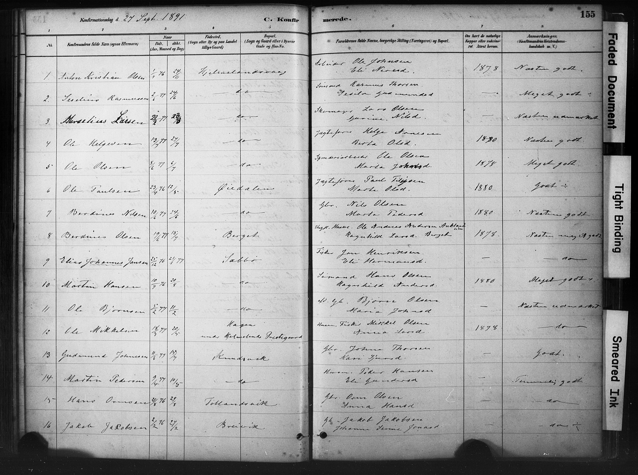 Hjelmeland sokneprestkontor, AV/SAST-A-101843/01/IV/L0014: Parish register (official) no. A 14, 1879-1900, p. 155