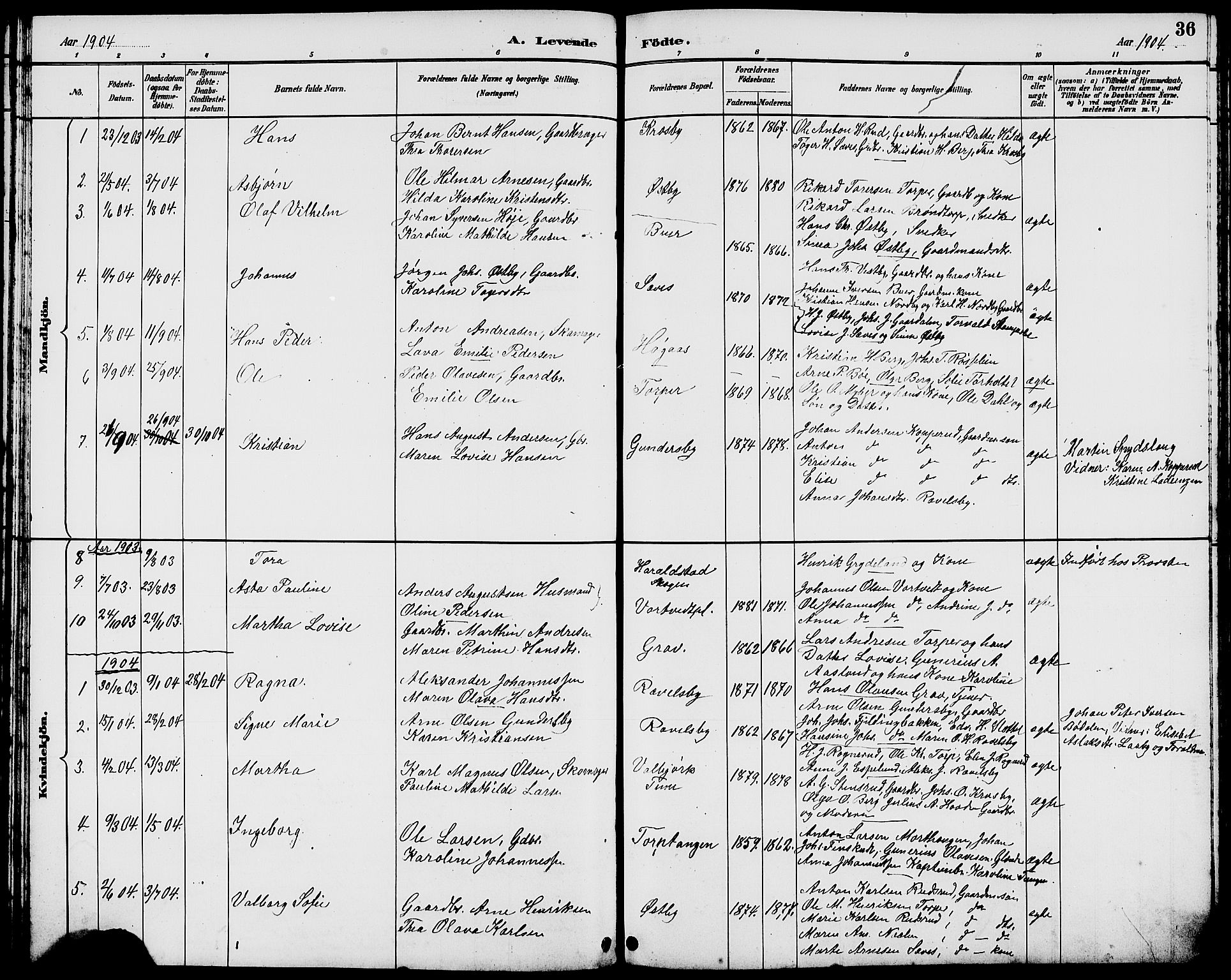 Rakkestad prestekontor Kirkebøker, AV/SAO-A-2008/G/Gc/L0001: Parish register (copy) no. III 1, 1887-1908, p. 36