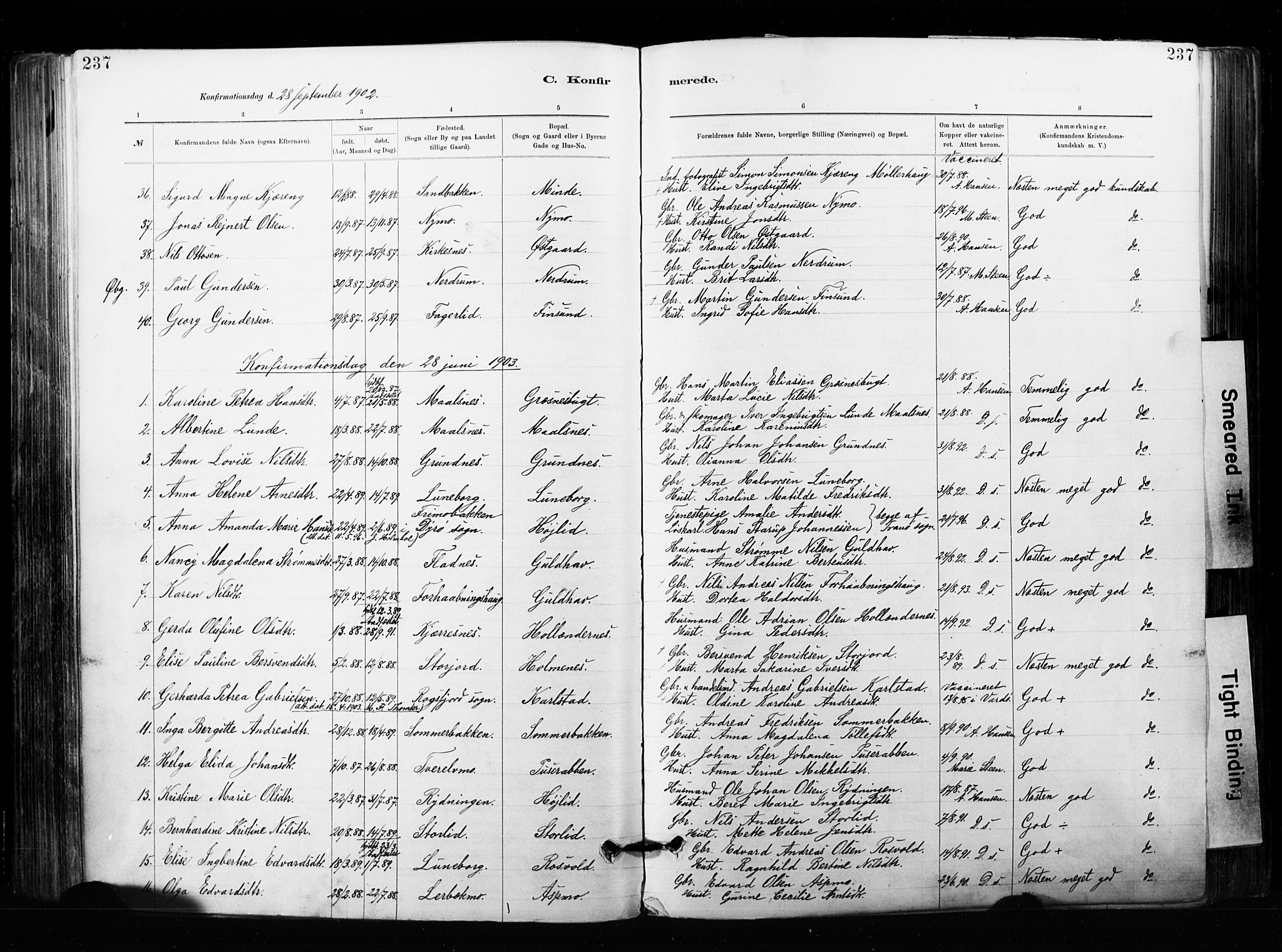 Målselv sokneprestembete, SATØ/S-1311/G/Ga/Gaa/L0007kirke: Parish register (official) no. 7, 1884-1903, p. 237