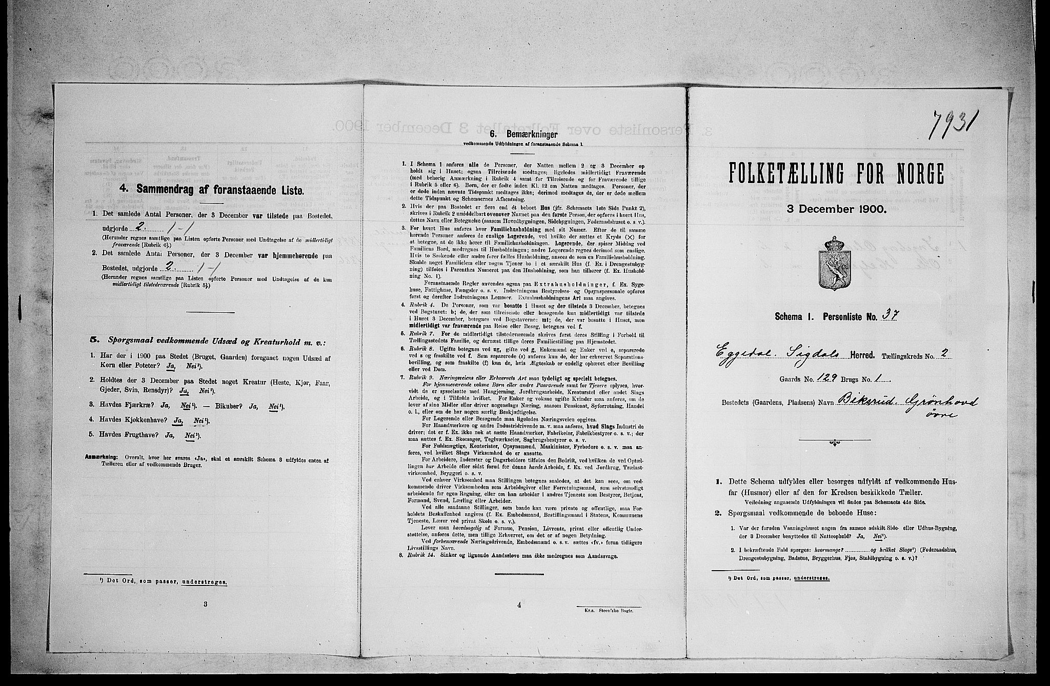 RA, 1900 census for Sigdal, 1900, p. 1943