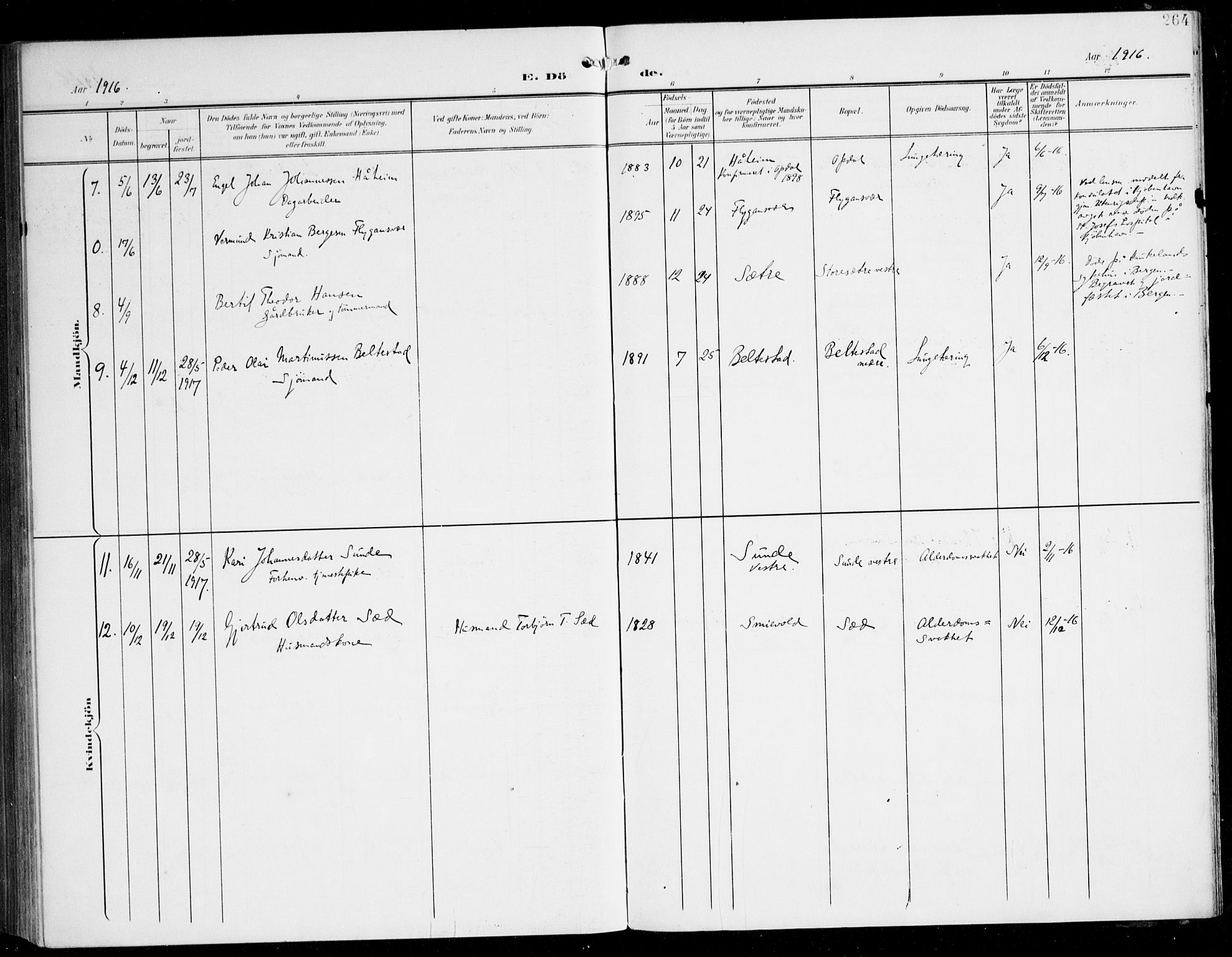 Tysnes sokneprestembete, AV/SAB-A-78601/H/Haa: Parish register (official) no. D 2, 1905-1922, p. 264