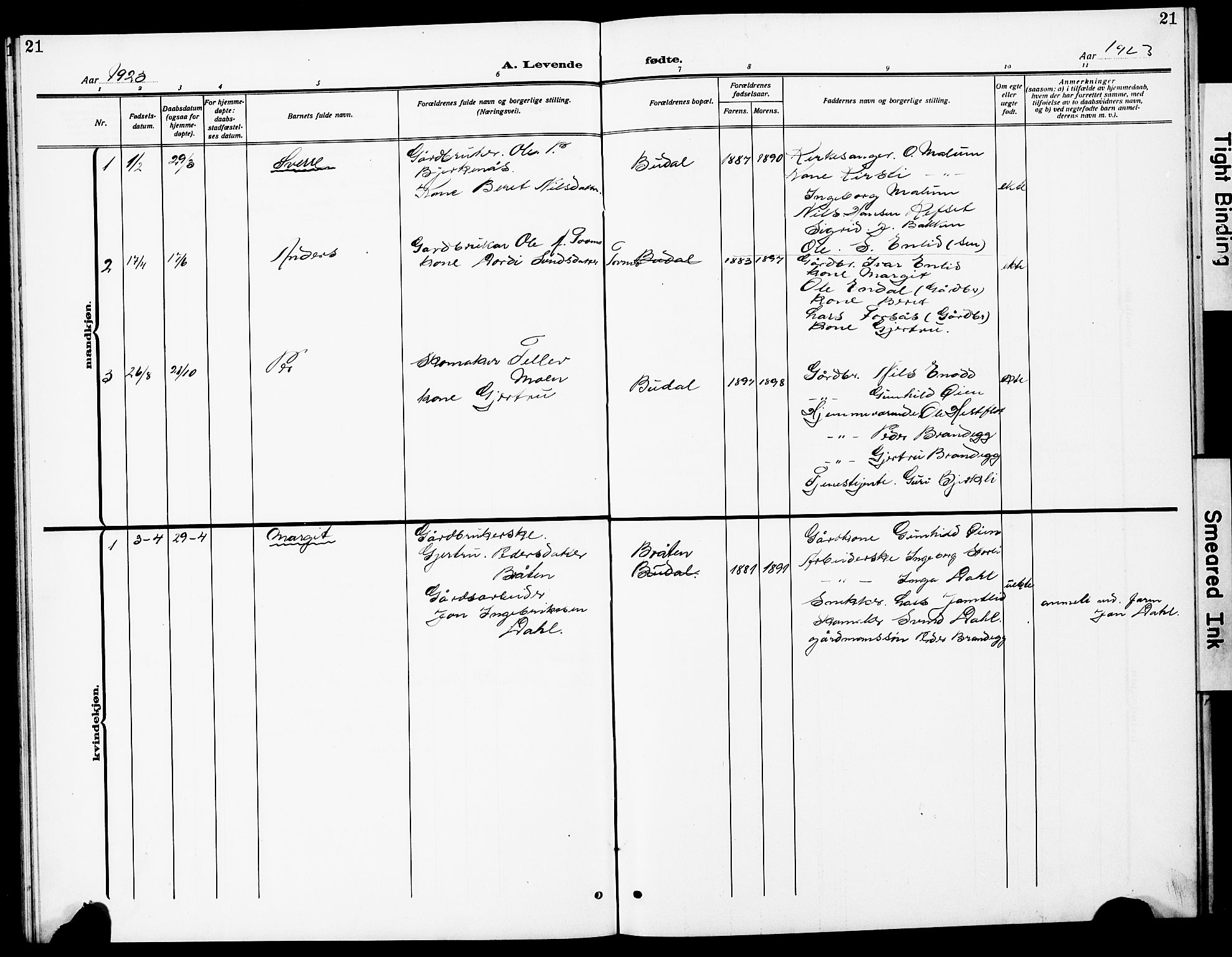 Ministerialprotokoller, klokkerbøker og fødselsregistre - Sør-Trøndelag, SAT/A-1456/690/L1052: Parish register (copy) no. 690C02, 1907-1929, p. 21