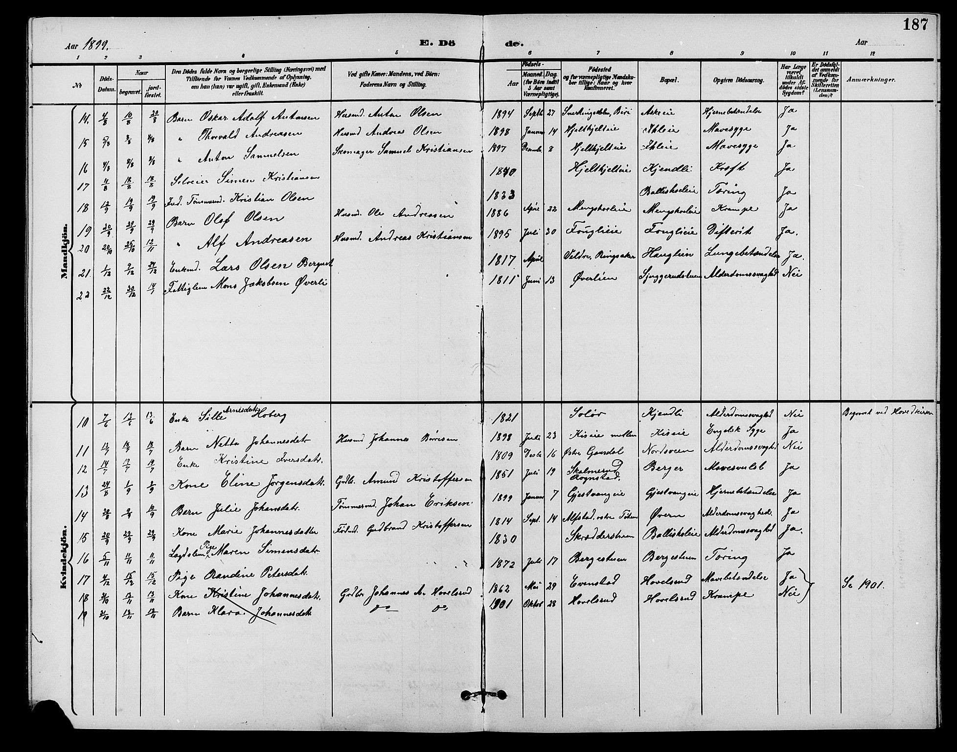 Nes prestekontor, Hedmark, SAH/PREST-020/L/La/L0007: Parish register (copy) no. 7, 1892-1912, p. 187