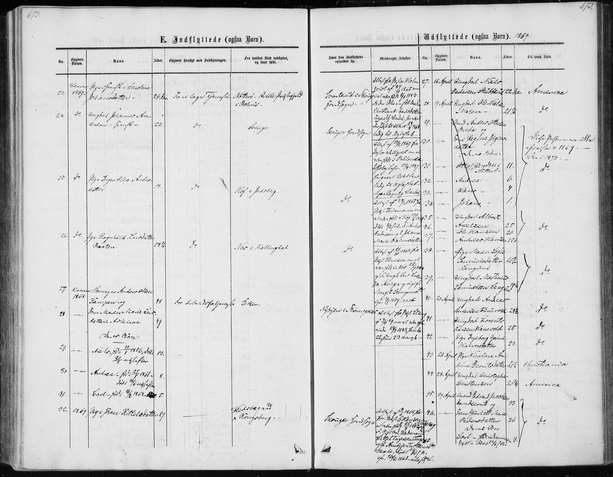 Skoger kirkebøker, AV/SAKO-A-59/F/Fa/L0004: Parish register (official) no. I 4, 1862-1872, p. 672-673