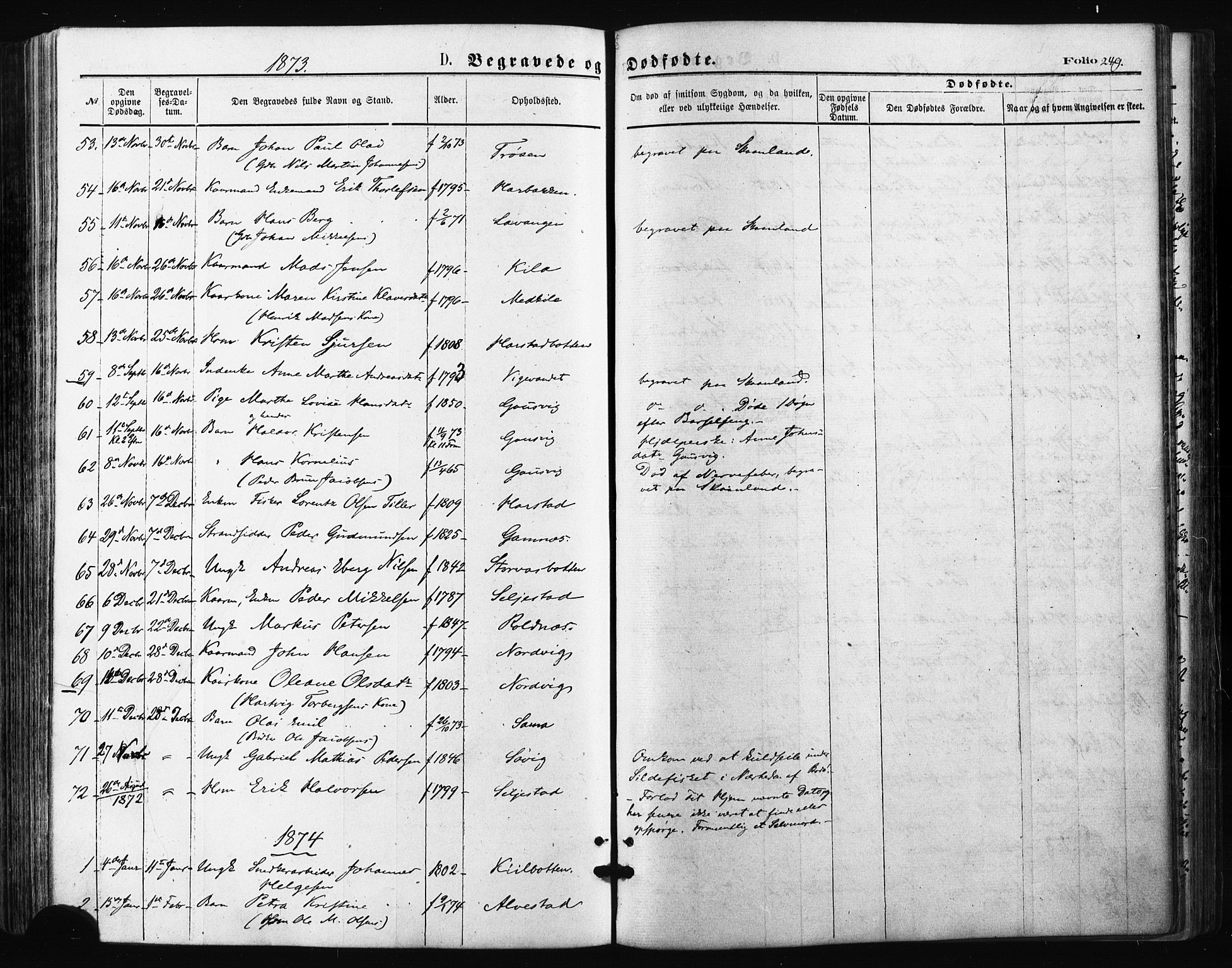 Trondenes sokneprestkontor, SATØ/S-1319/H/Ha/L0013kirke: Parish register (official) no. 13, 1870-1878, p. 249