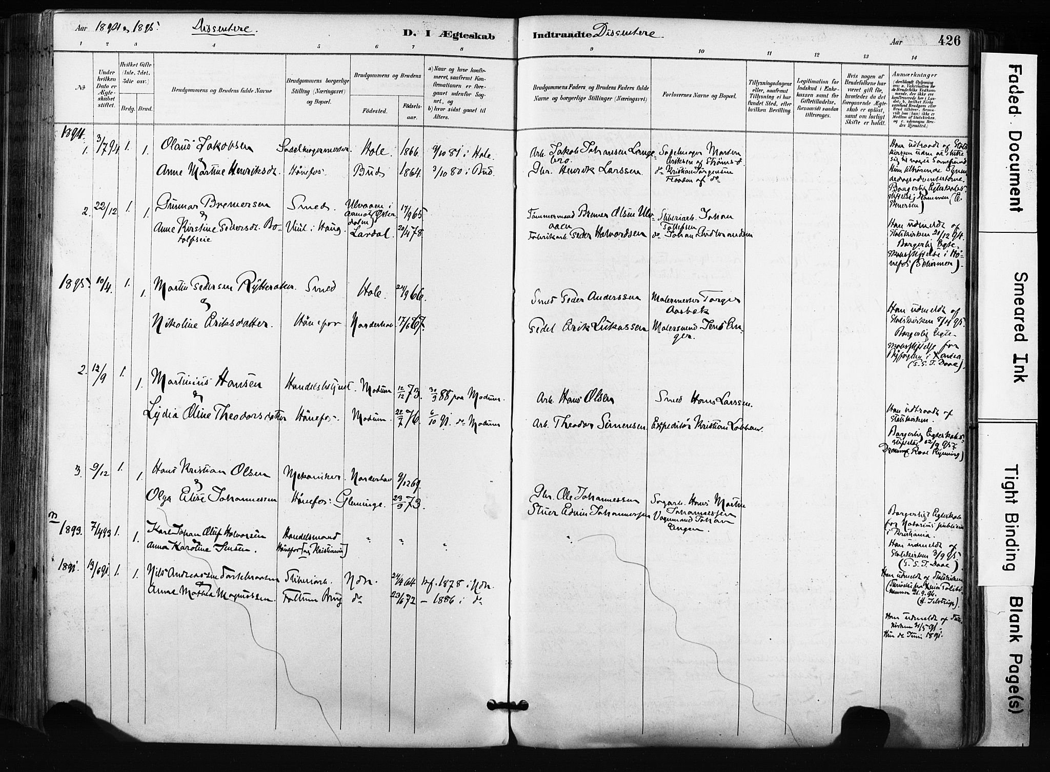 Norderhov kirkebøker, SAKO/A-237/F/Fa/L0016: Parish register (official) no. 16, 1885-1902, p. 426