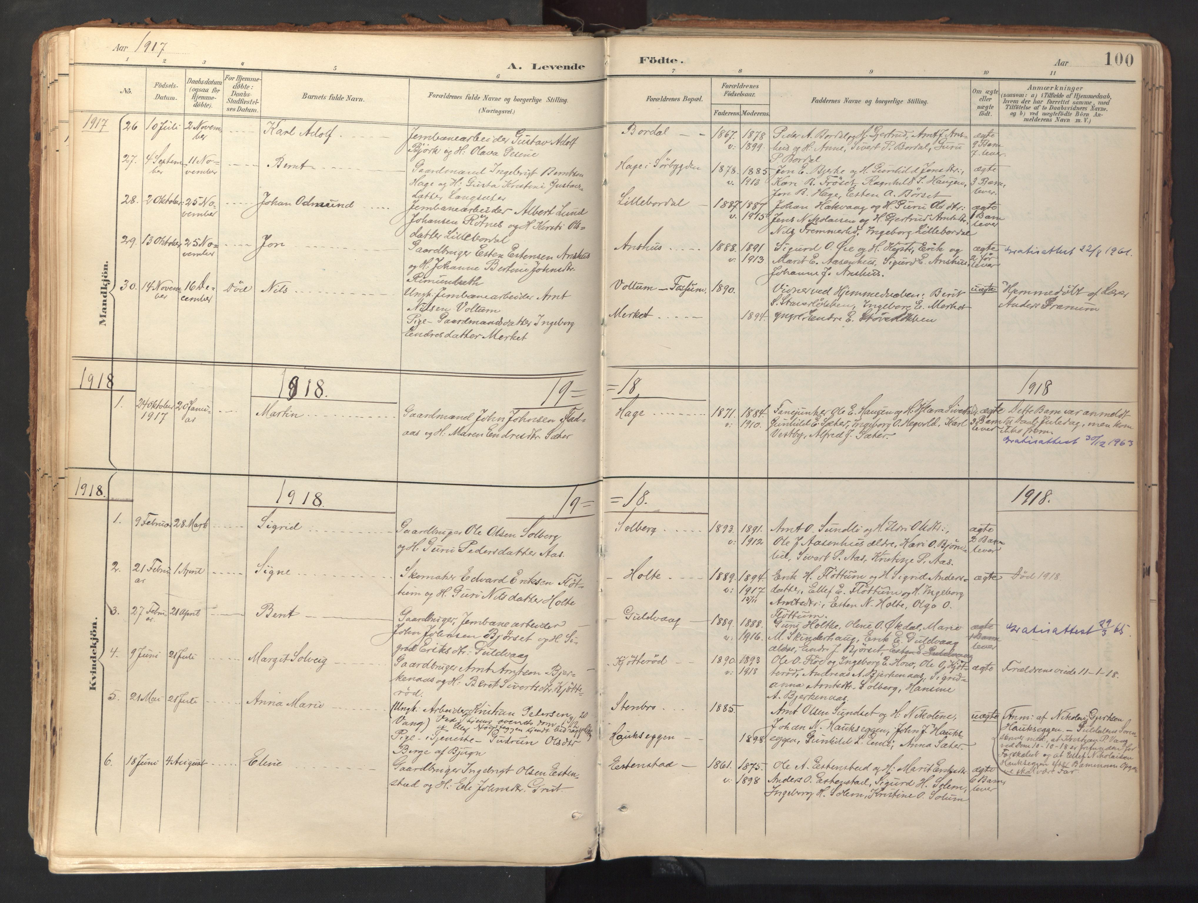 Ministerialprotokoller, klokkerbøker og fødselsregistre - Sør-Trøndelag, SAT/A-1456/689/L1041: Parish register (official) no. 689A06, 1891-1923, p. 100