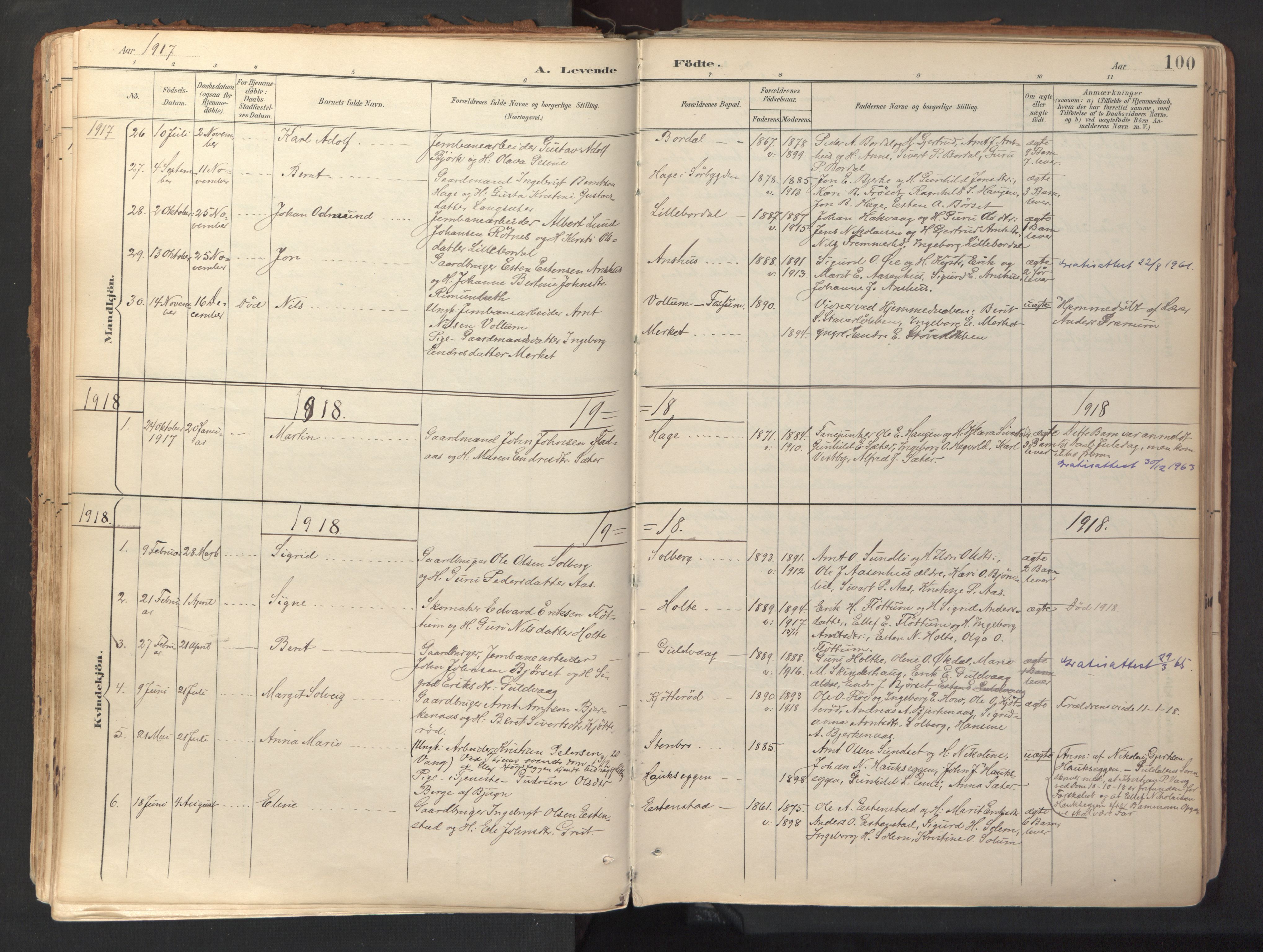 Ministerialprotokoller, klokkerbøker og fødselsregistre - Sør-Trøndelag, AV/SAT-A-1456/689/L1041: Parish register (official) no. 689A06, 1891-1923, p. 100