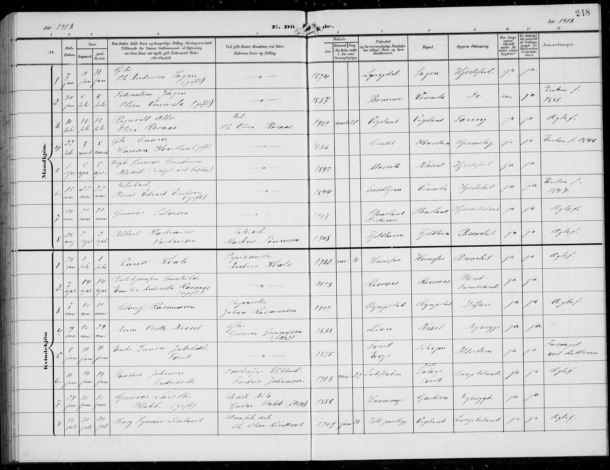 Vennesla sokneprestkontor, SAK/1111-0045/Fb/Fbb/L0005: Parish register (copy) no. B 5, 1903-1913, p. 248