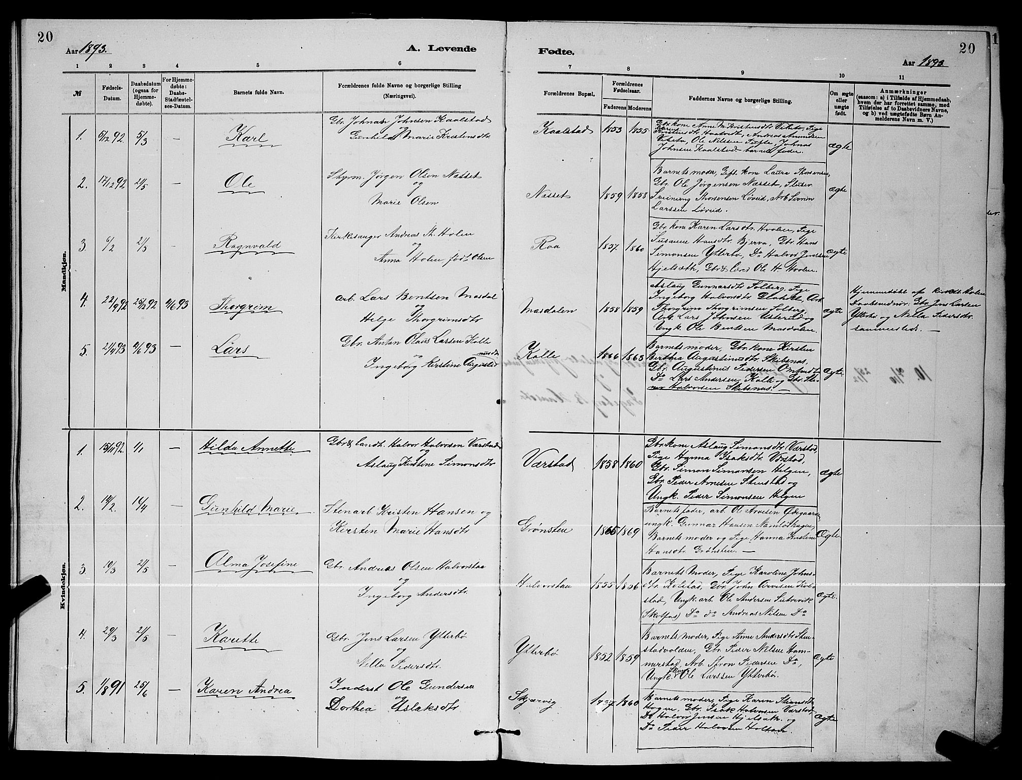 Holla kirkebøker, SAKO/A-272/G/Gb/L0001: Parish register (copy) no. II 1, 1882-1897, p. 20