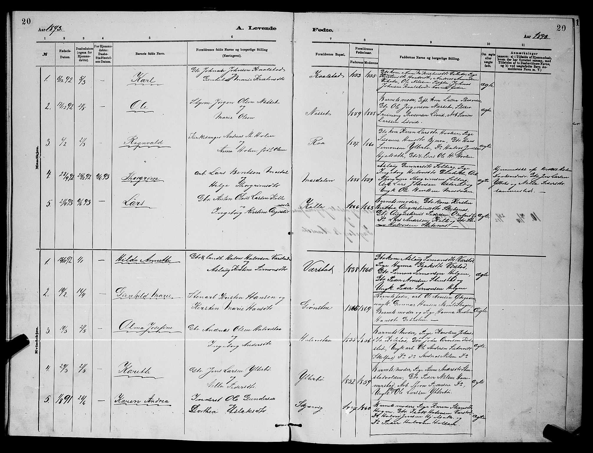 Holla kirkebøker, AV/SAKO-A-272/G/Gb/L0001: Parish register (copy) no. II 1, 1882-1897, p. 20