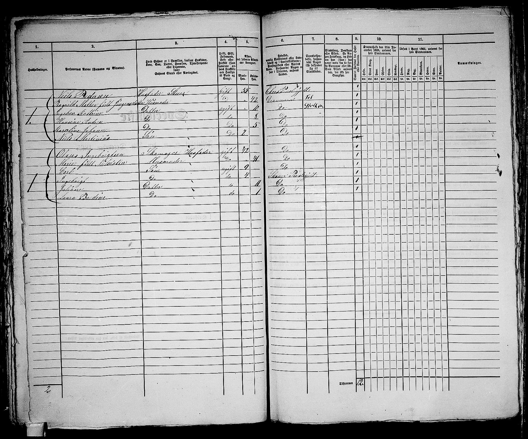 RA, 1865 census for Strømsø in Drammen, 1865, p. 786