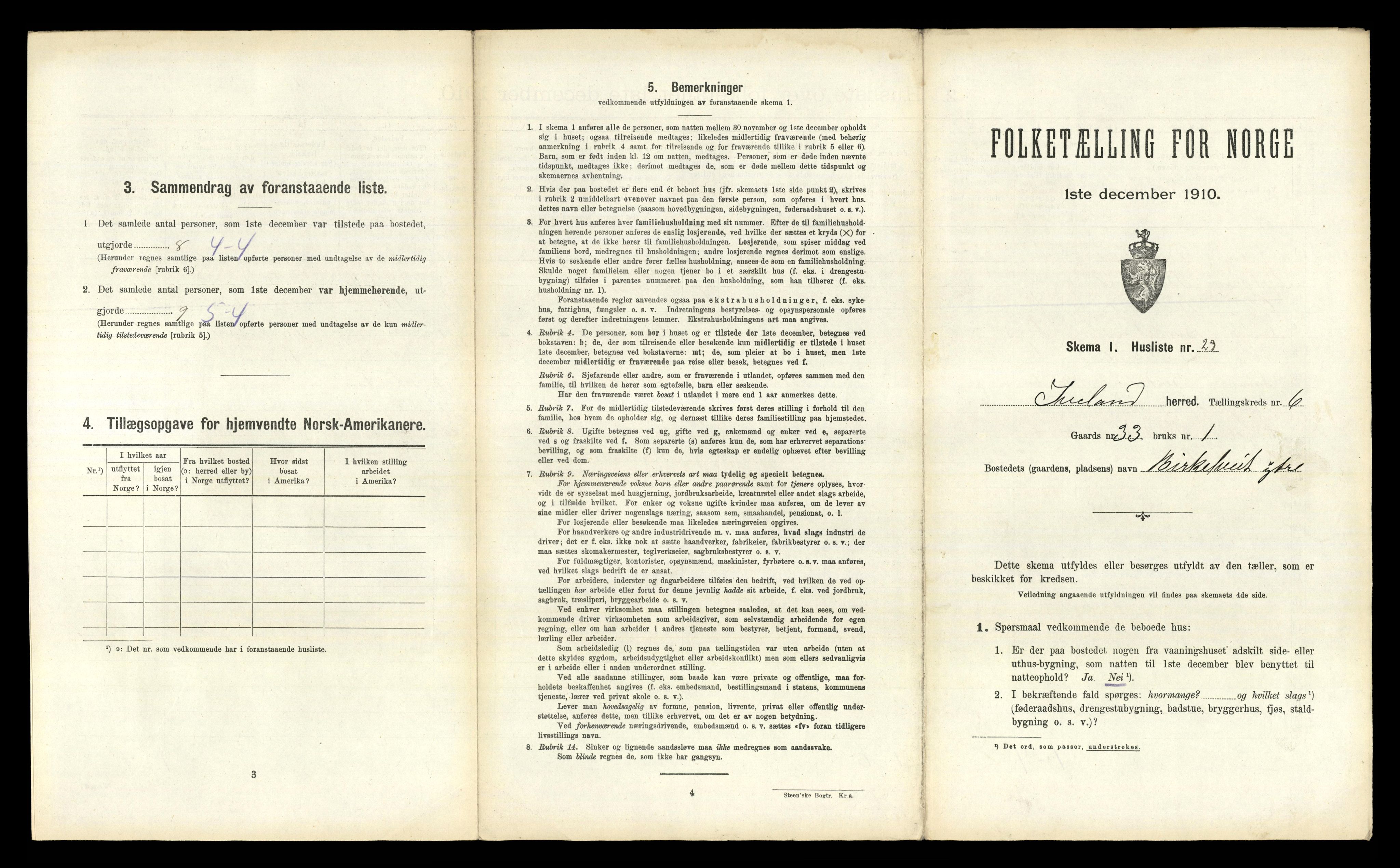 RA, 1910 census for Iveland, 1910, p. 301