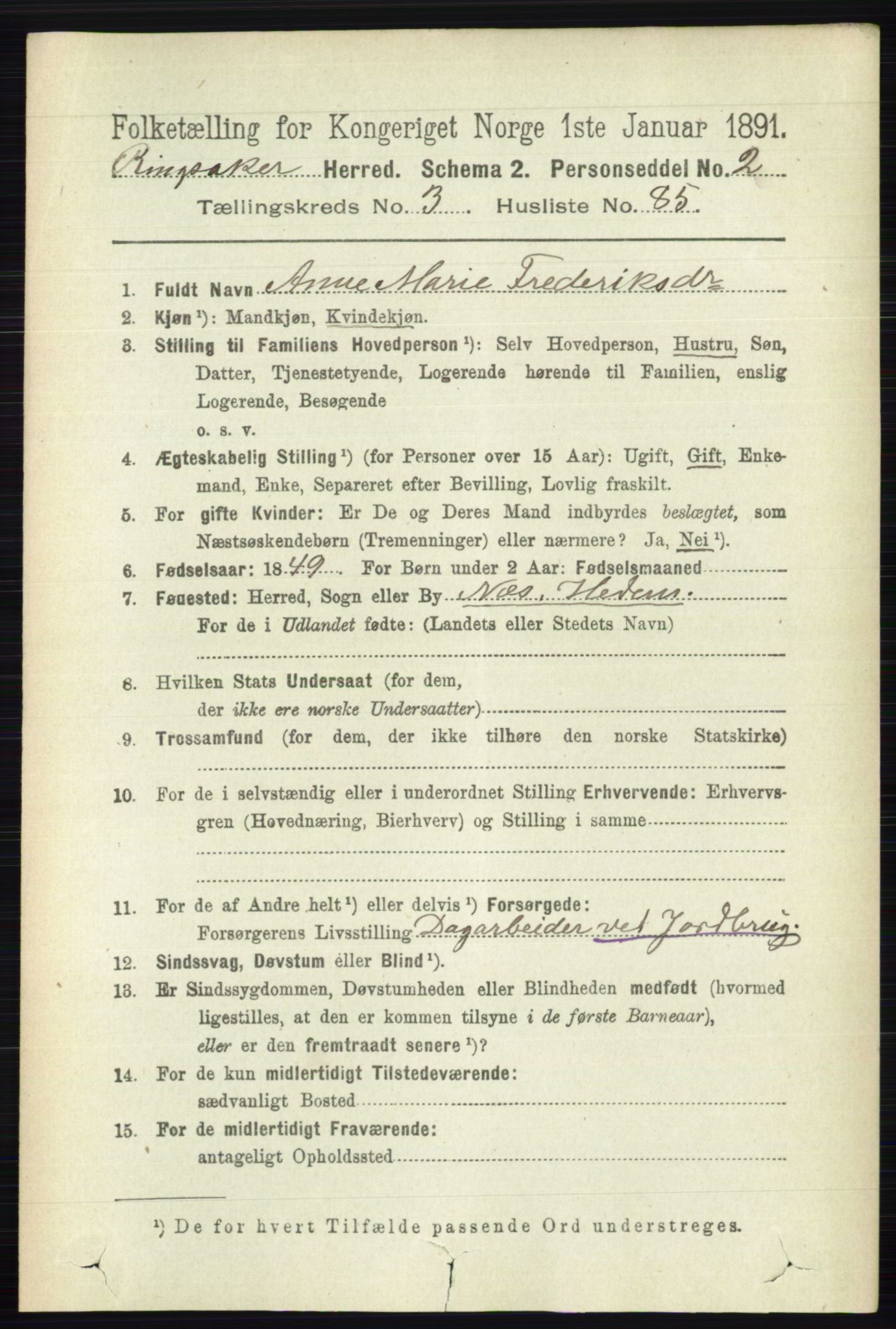RA, 1891 census for 0412 Ringsaker, 1891, p. 1673