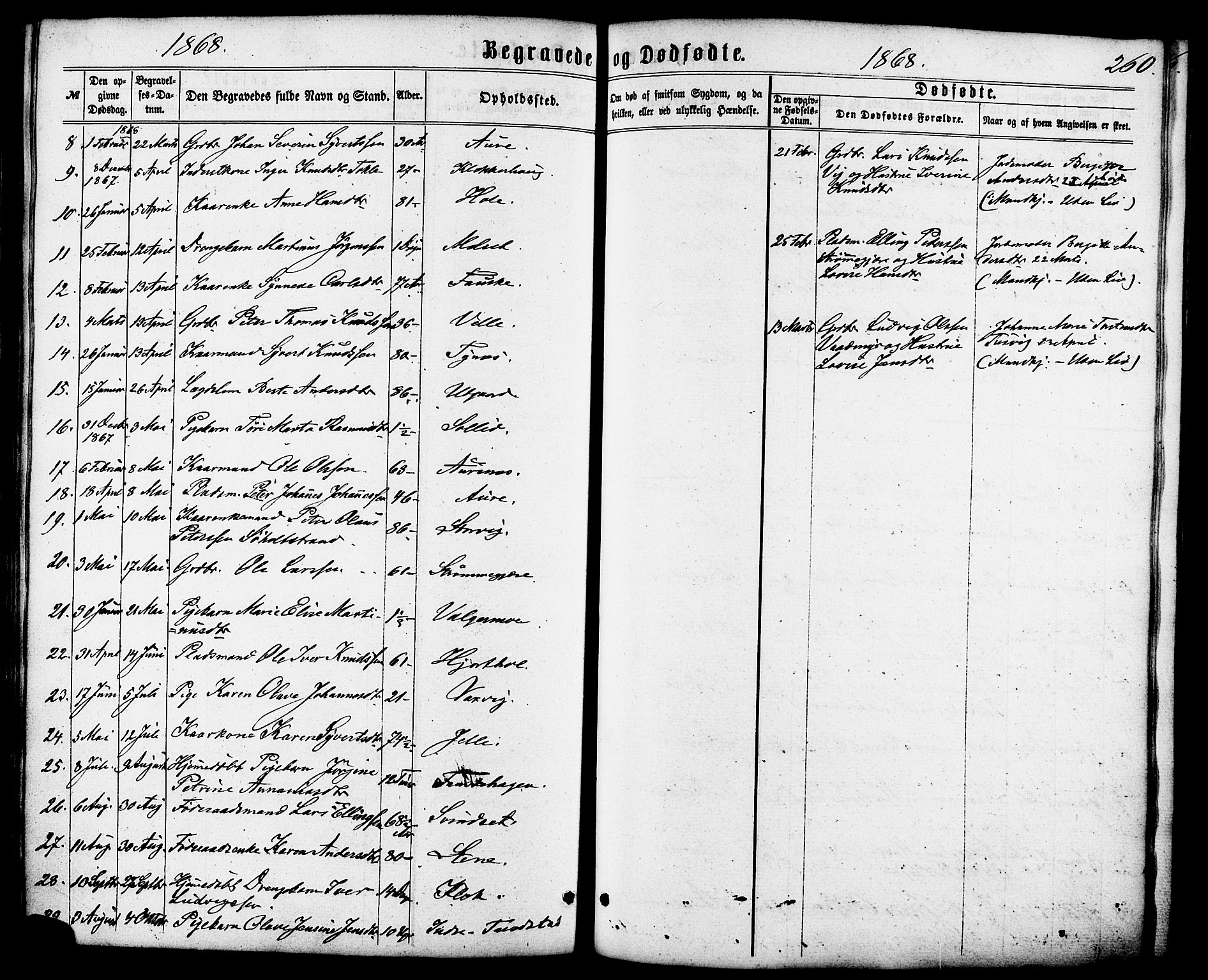 Ministerialprotokoller, klokkerbøker og fødselsregistre - Møre og Romsdal, AV/SAT-A-1454/522/L0314: Parish register (official) no. 522A09, 1863-1877, p. 260
