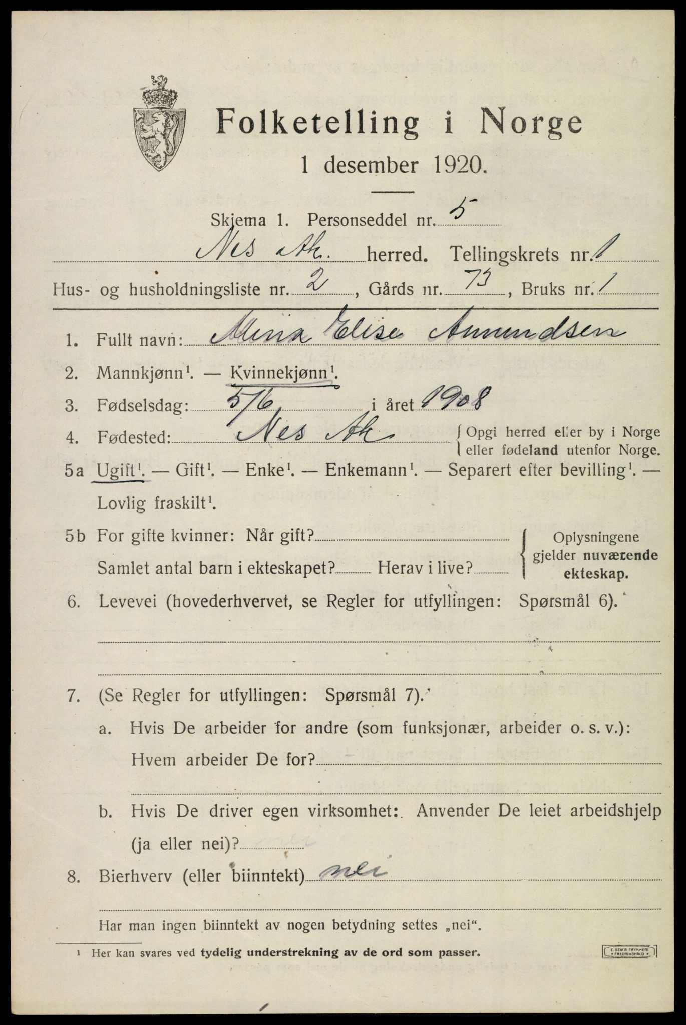 SAO, 1920 census for Nes, 1920, p. 3404