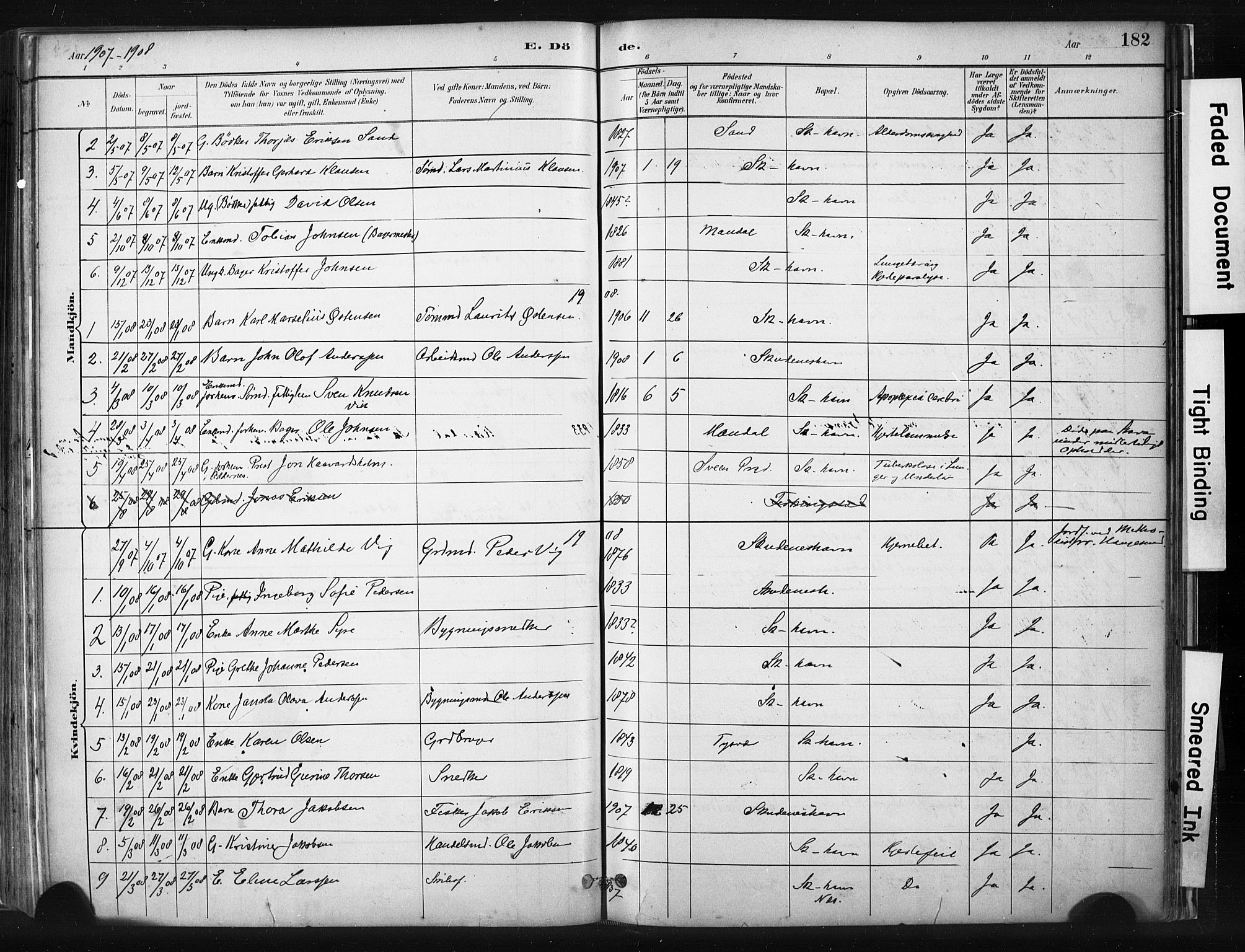 Skudenes sokneprestkontor, AV/SAST-A -101849/H/Ha/Haa/L0008: Parish register (official) no. A 5, 1882-1912, p. 182