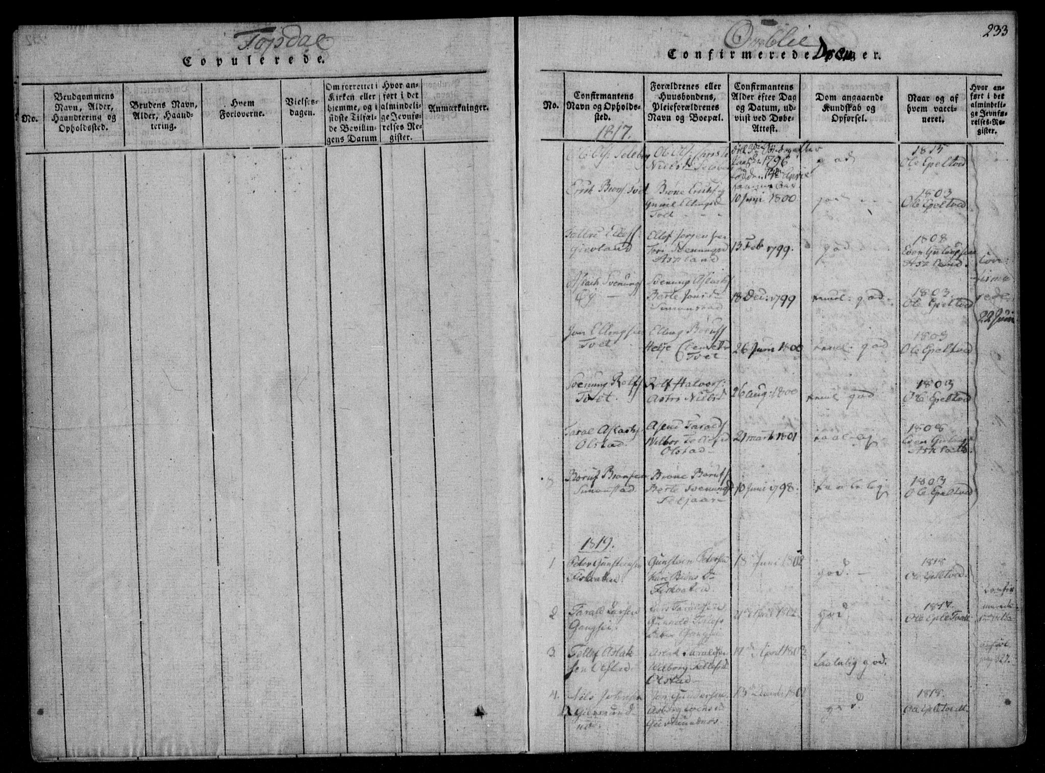 Åmli sokneprestkontor, SAK/1111-0050/F/Fa/Fac/L0006: Parish register (official) no. A 6, 1816-1829, p. 233