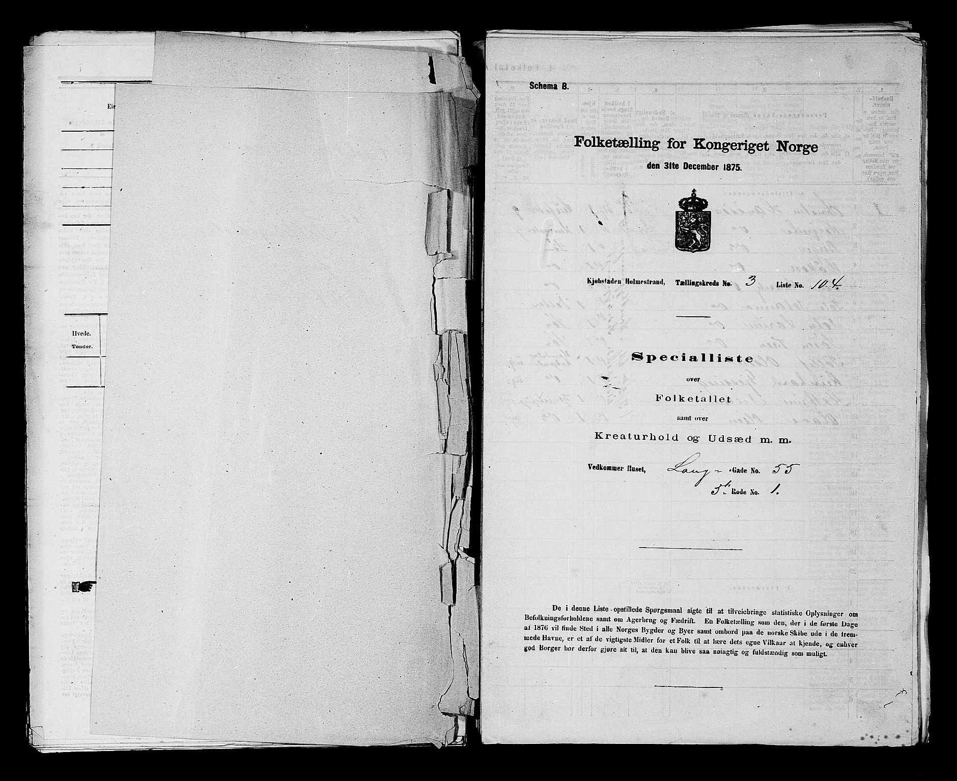 SAKO, 1875 census for 0702P Holmestrand, 1875, p. 243