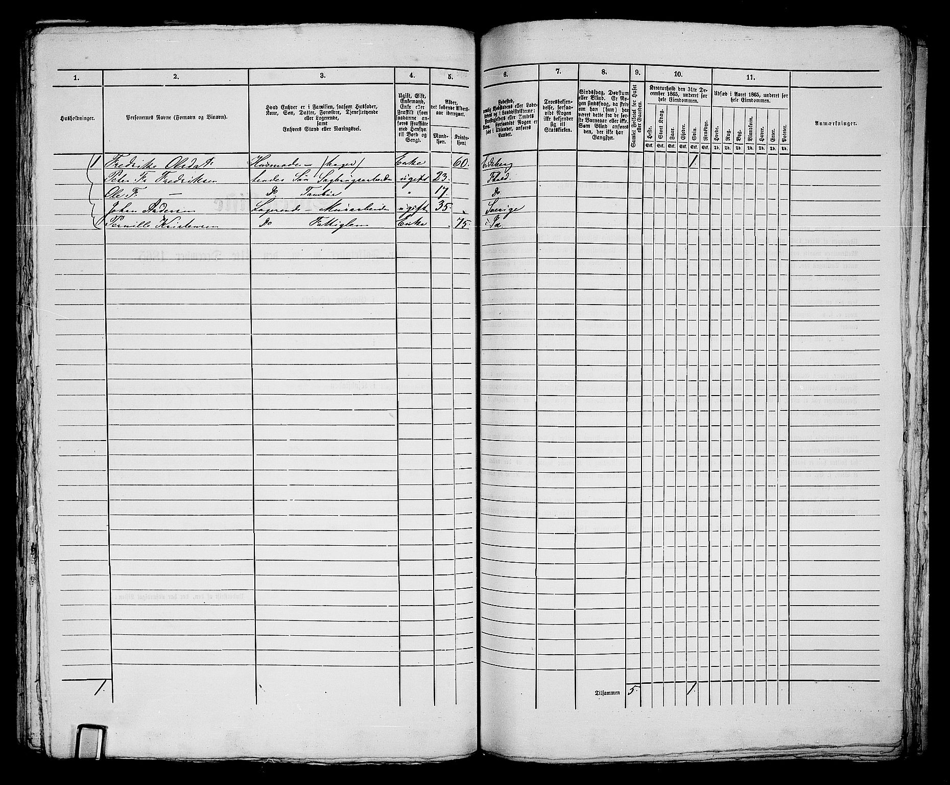 RA, 1865 census for Fredrikshald, 1865, p. 254