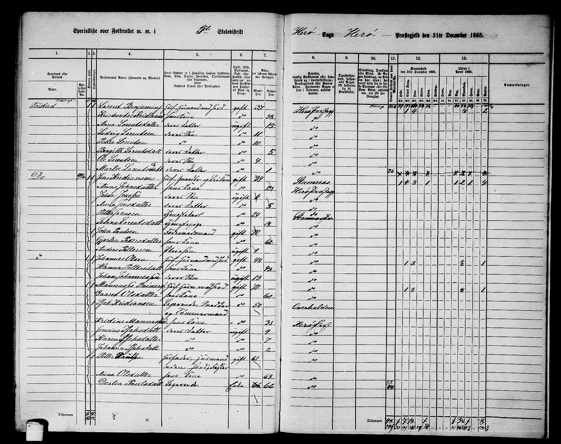 RA, 1865 census for Herøy, 1865, p. 100