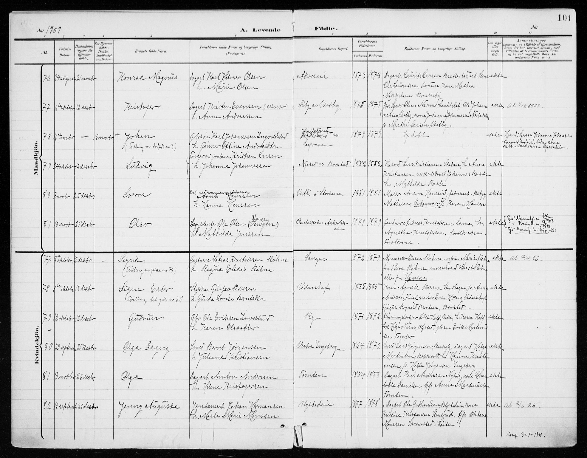 Vang prestekontor, Hedmark, AV/SAH-PREST-008/H/Ha/Haa/L0021: Parish register (official) no. 21, 1902-1917, p. 101