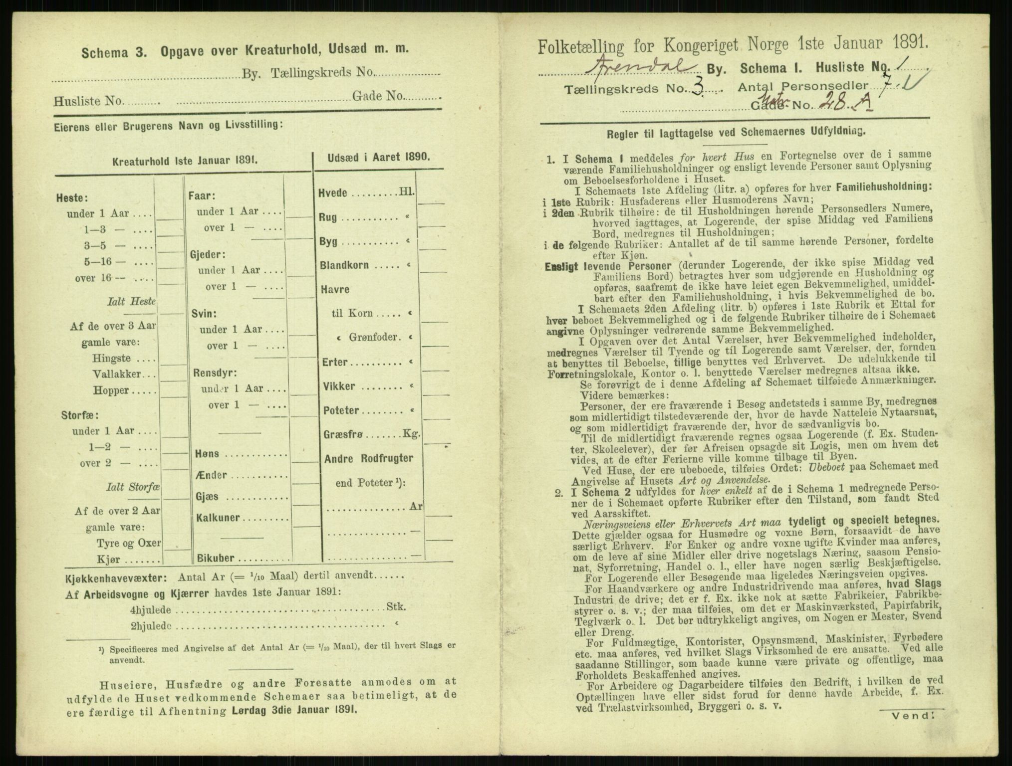 RA, 1891 census for 0903 Arendal, 1891, p. 124