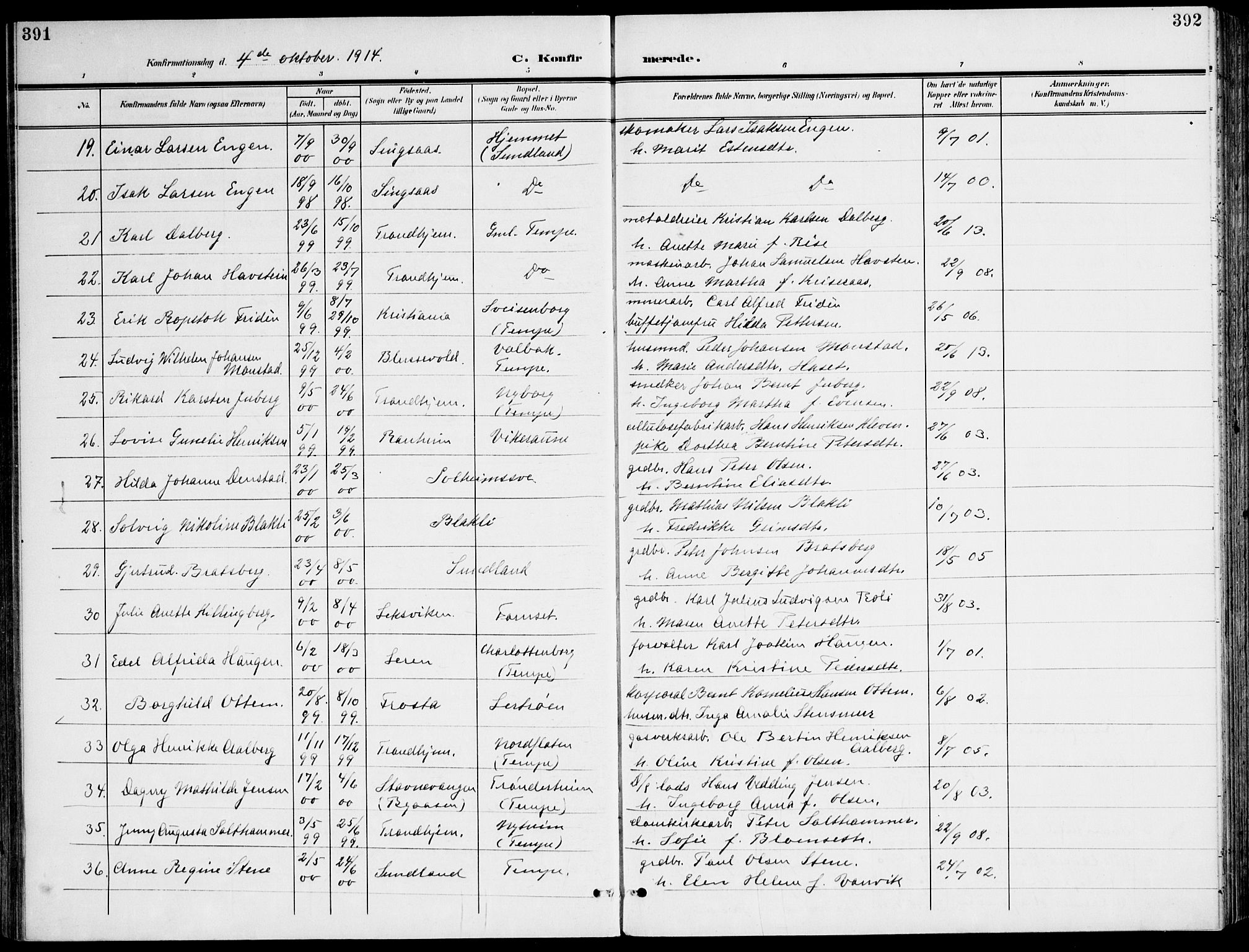 Ministerialprotokoller, klokkerbøker og fødselsregistre - Sør-Trøndelag, AV/SAT-A-1456/607/L0320: Parish register (official) no. 607A04, 1907-1915, p. 391-392