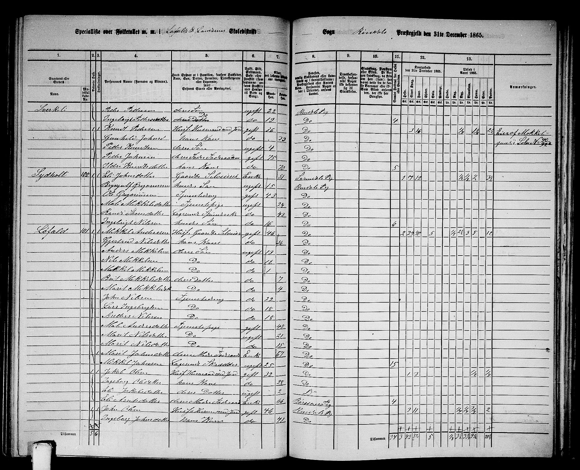 RA, 1865 census for Rindal, 1865, p. 53