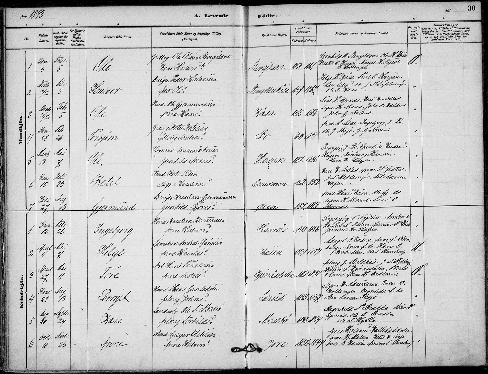 Hjartdal kirkebøker, AV/SAKO-A-270/F/Fb/L0002: Parish register (official) no. II 2, 1880-1932, p. 30