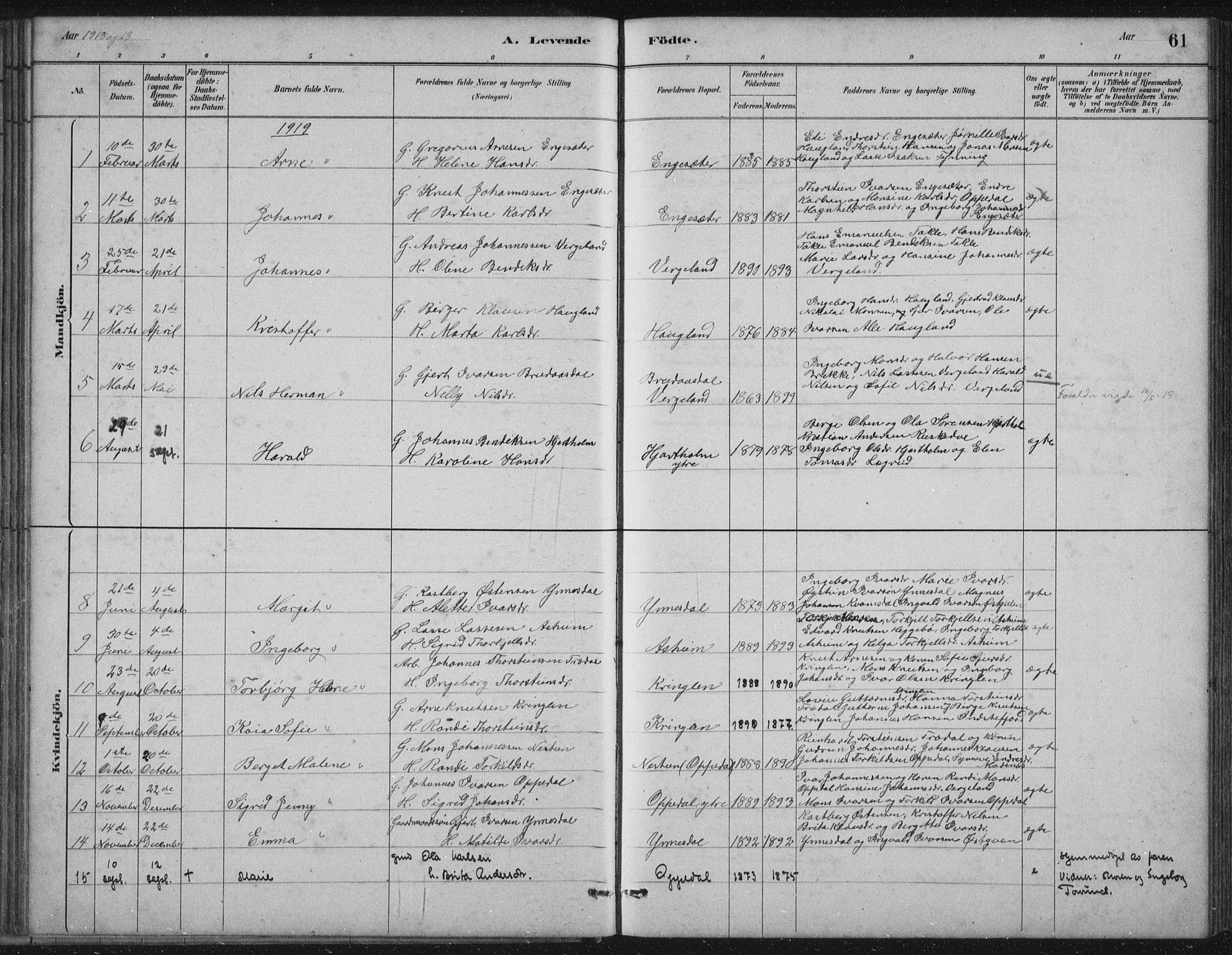 Gulen sokneprestembete, AV/SAB-A-80201/H/Hab/Habc/L0002: Parish register (copy) no. C 2, 1880-1938, p. 61