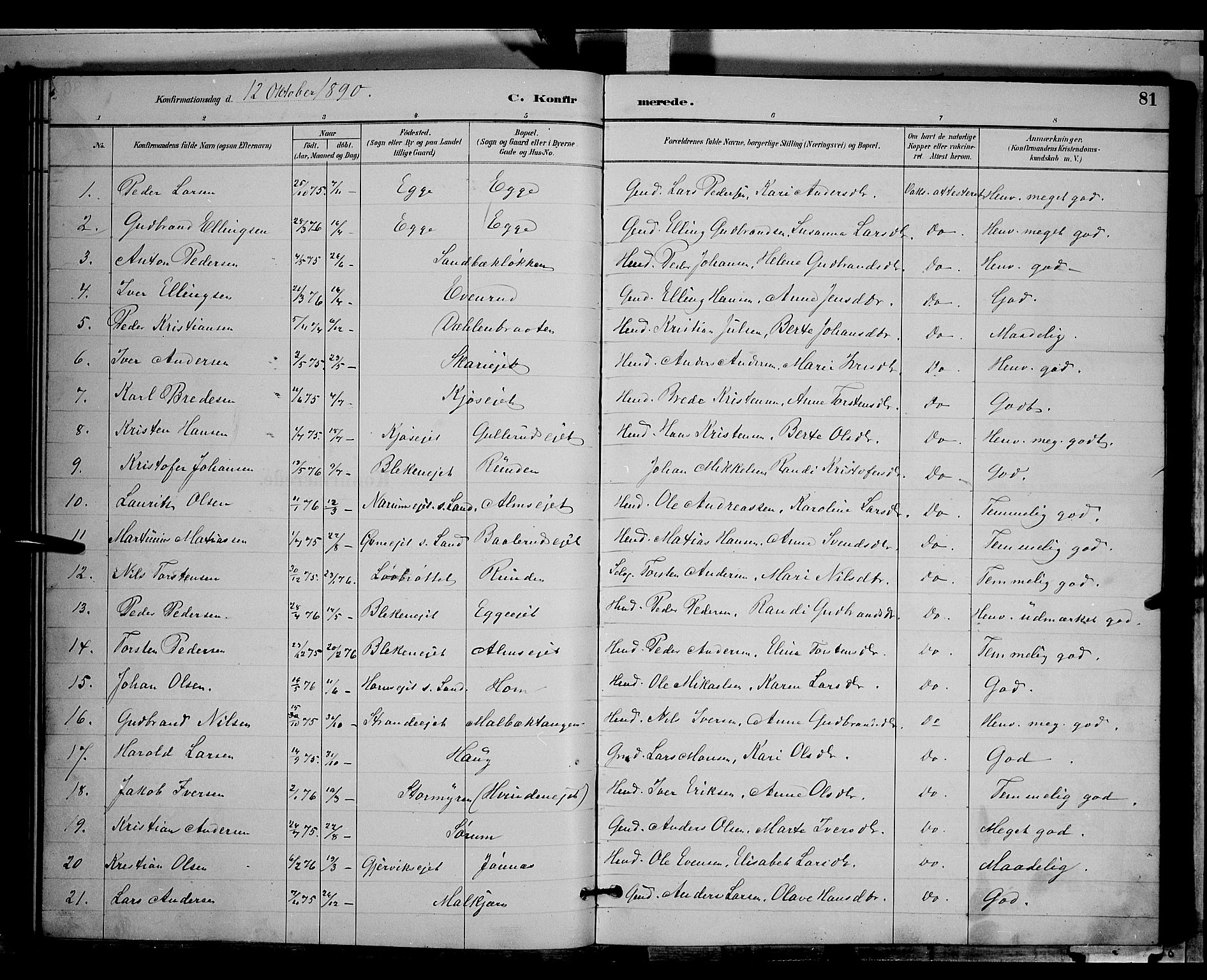Gran prestekontor, SAH/PREST-112/H/Ha/Hab/L0004: Parish register (copy) no. 4, 1890-1899, p. 81