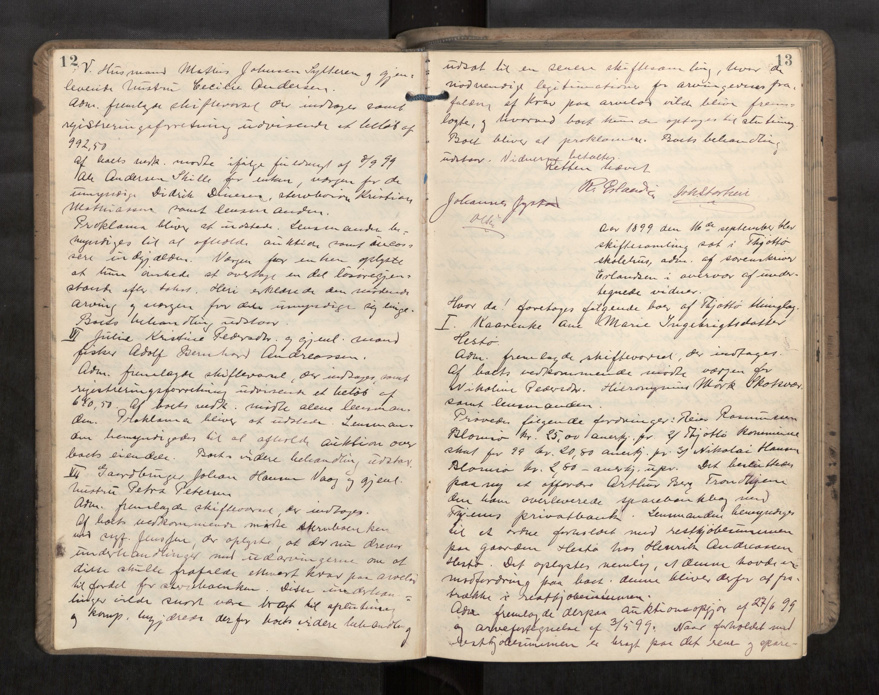 Søndre Helgeland sorenskriveri, AV/SAT-A-4575/1/3/3B/L0006: Skiftebehandlingsprotokoll, 1899-1903, p. 12-13