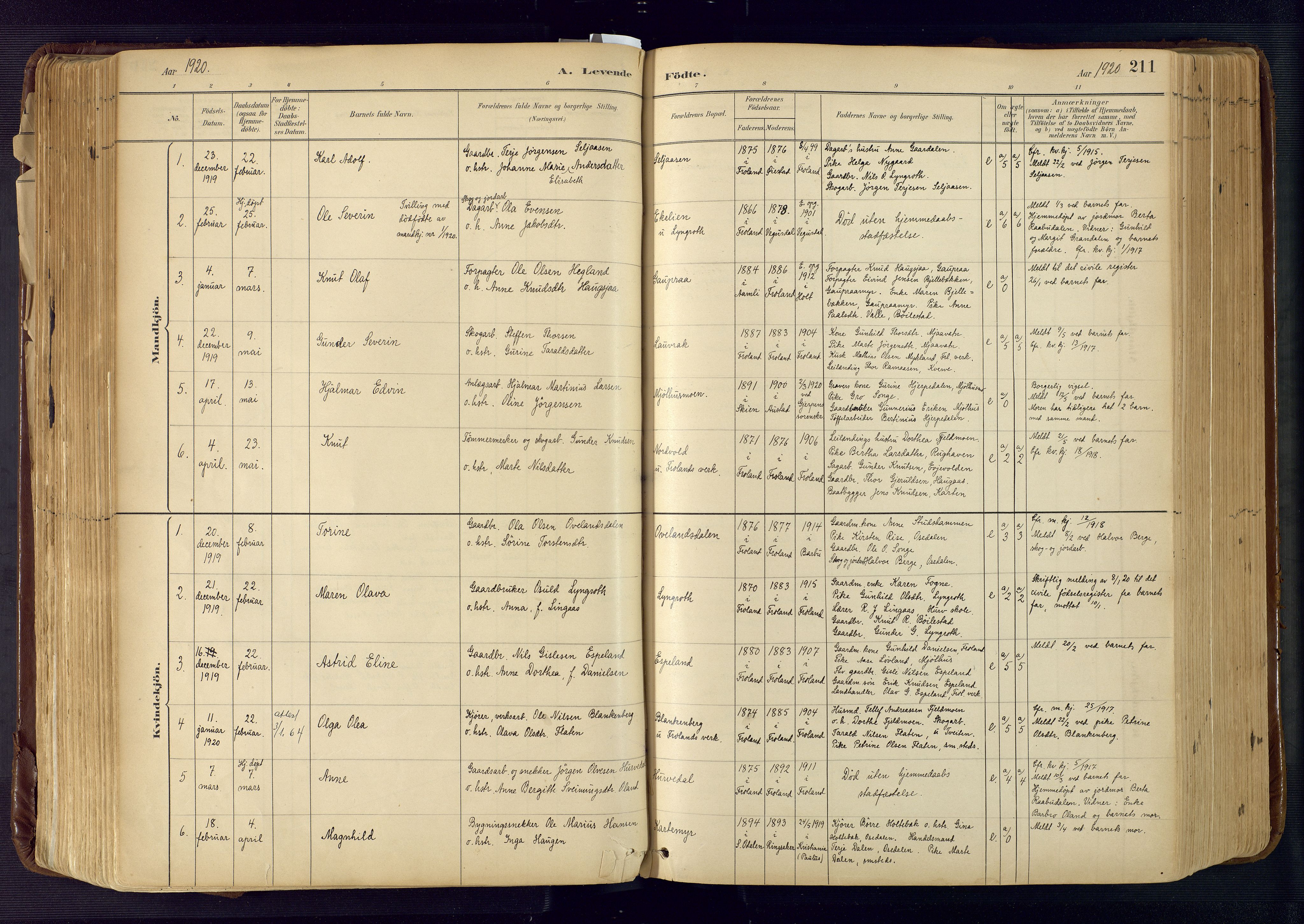 Froland sokneprestkontor, SAK/1111-0013/F/Fa/L0005: Parish register (official) no. A 5, 1882-1921, p. 211