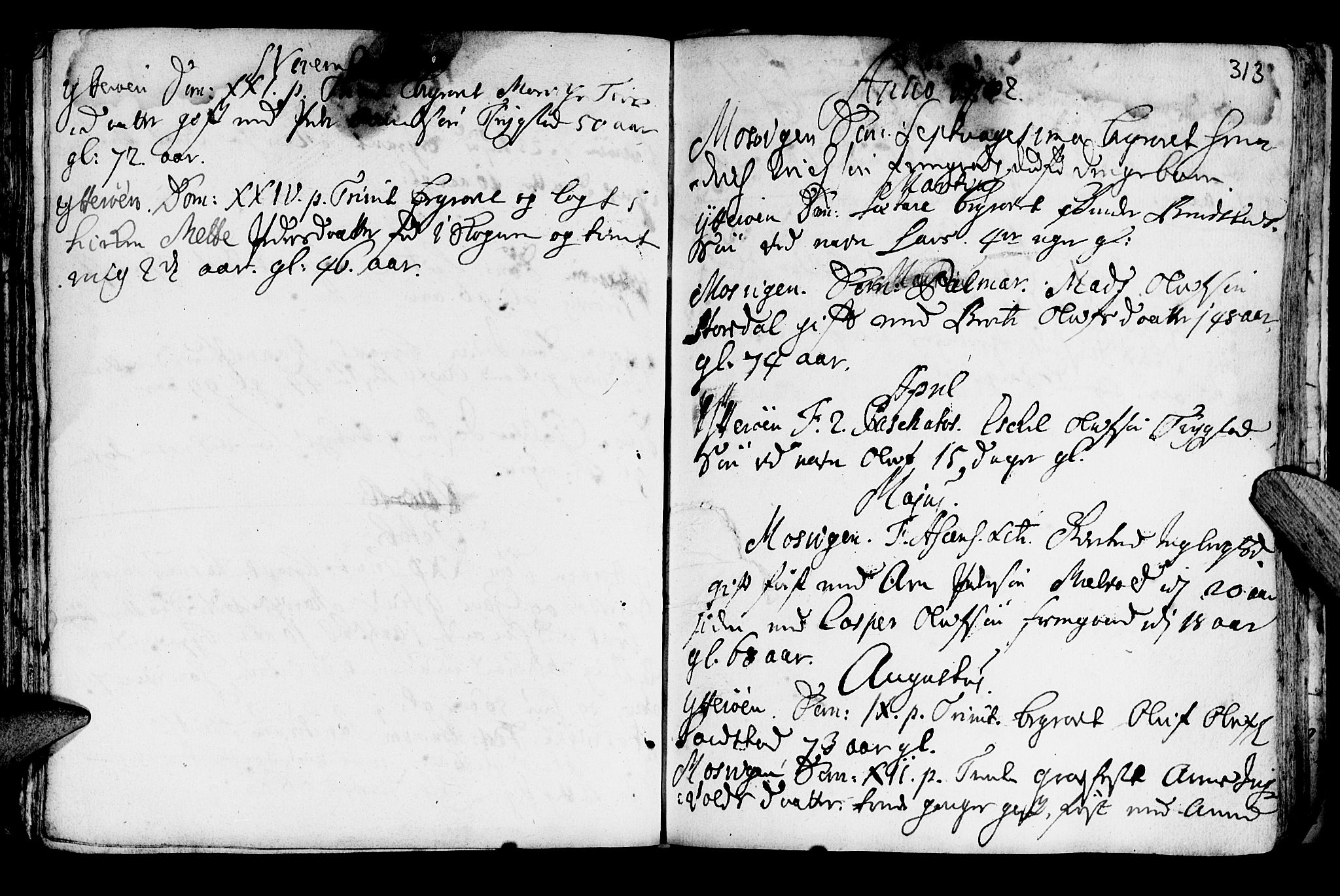 Ministerialprotokoller, klokkerbøker og fødselsregistre - Nord-Trøndelag, SAT/A-1458/722/L0215: Parish register (official) no. 722A02, 1718-1755, p. 313
