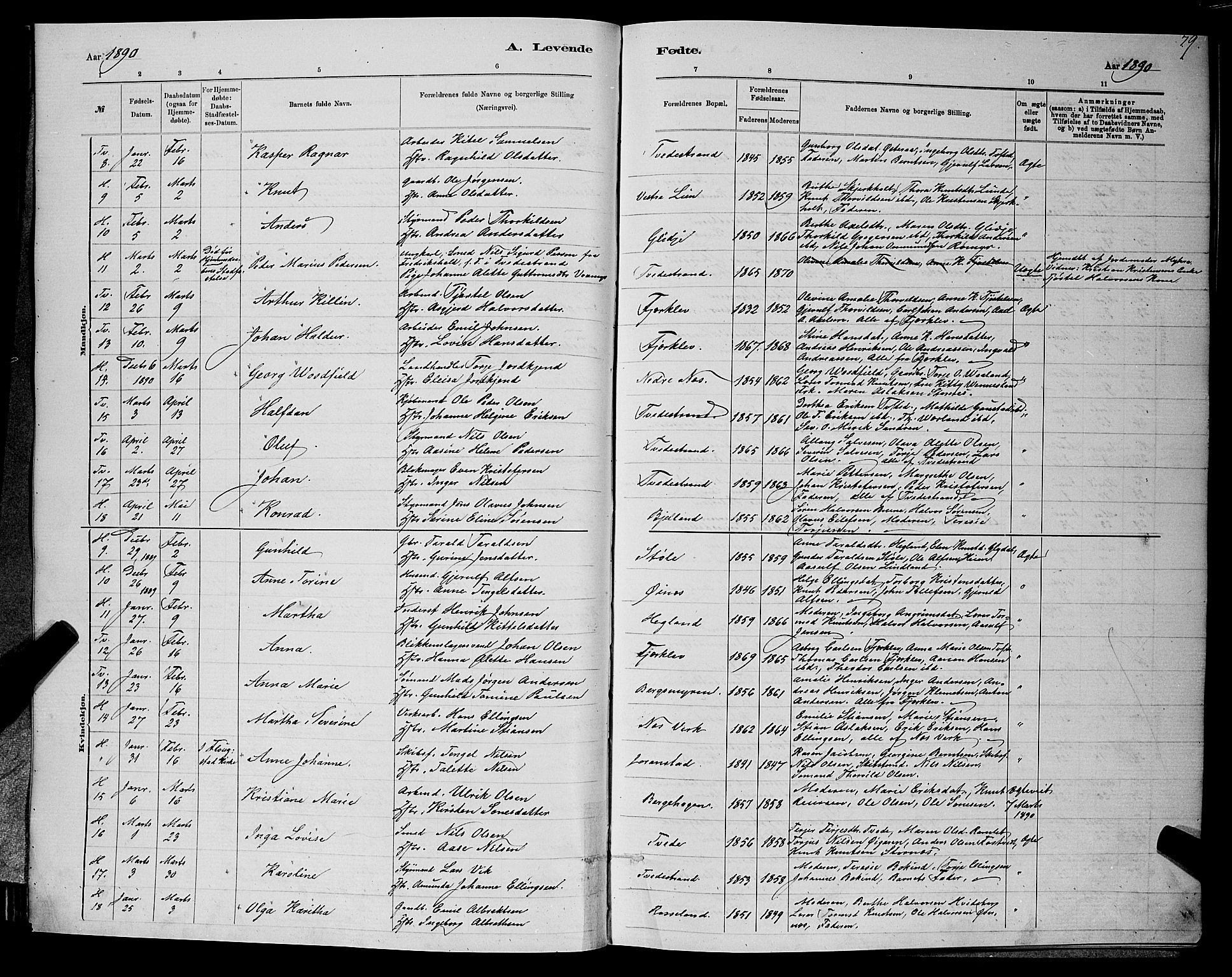 Holt sokneprestkontor, AV/SAK-1111-0021/F/Fb/L0010: Parish register (copy) no. B 10, 1883-1896, p. 79