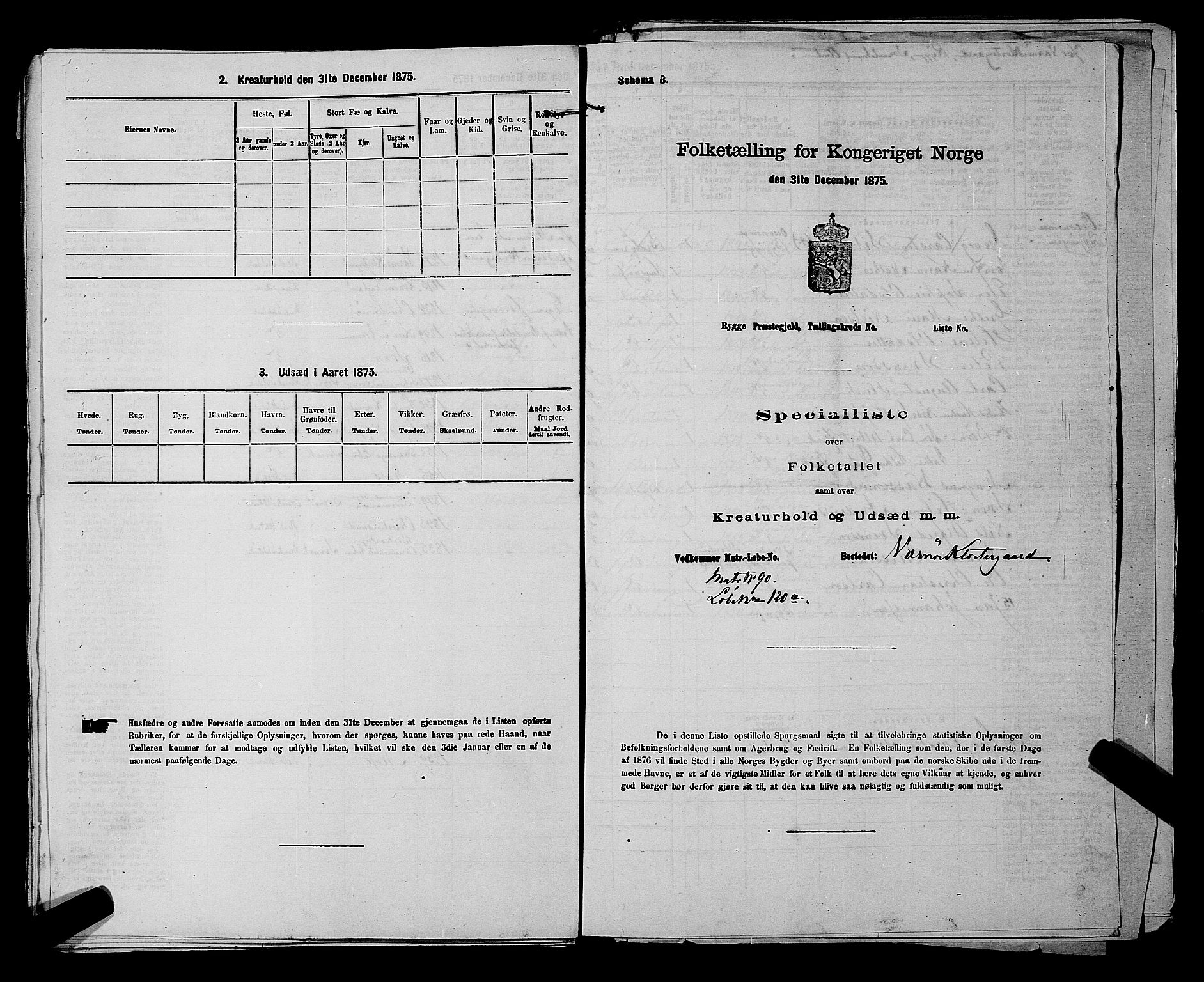 RA, 1875 census for 0136P Rygge, 1875, p. 804