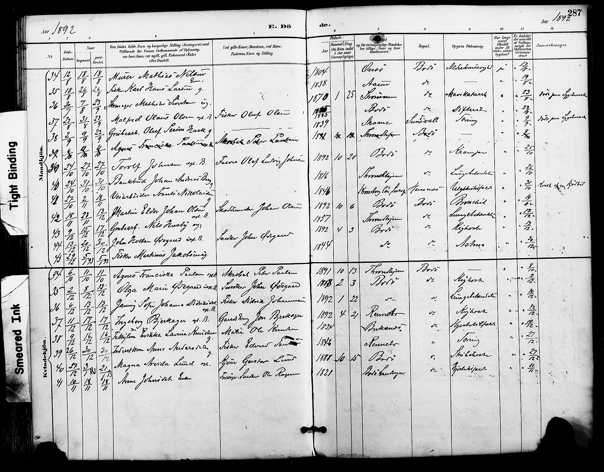 Ministerialprotokoller, klokkerbøker og fødselsregistre - Nordland, AV/SAT-A-1459/801/L0010: Parish register (official) no. 801A10, 1888-1899, p. 287